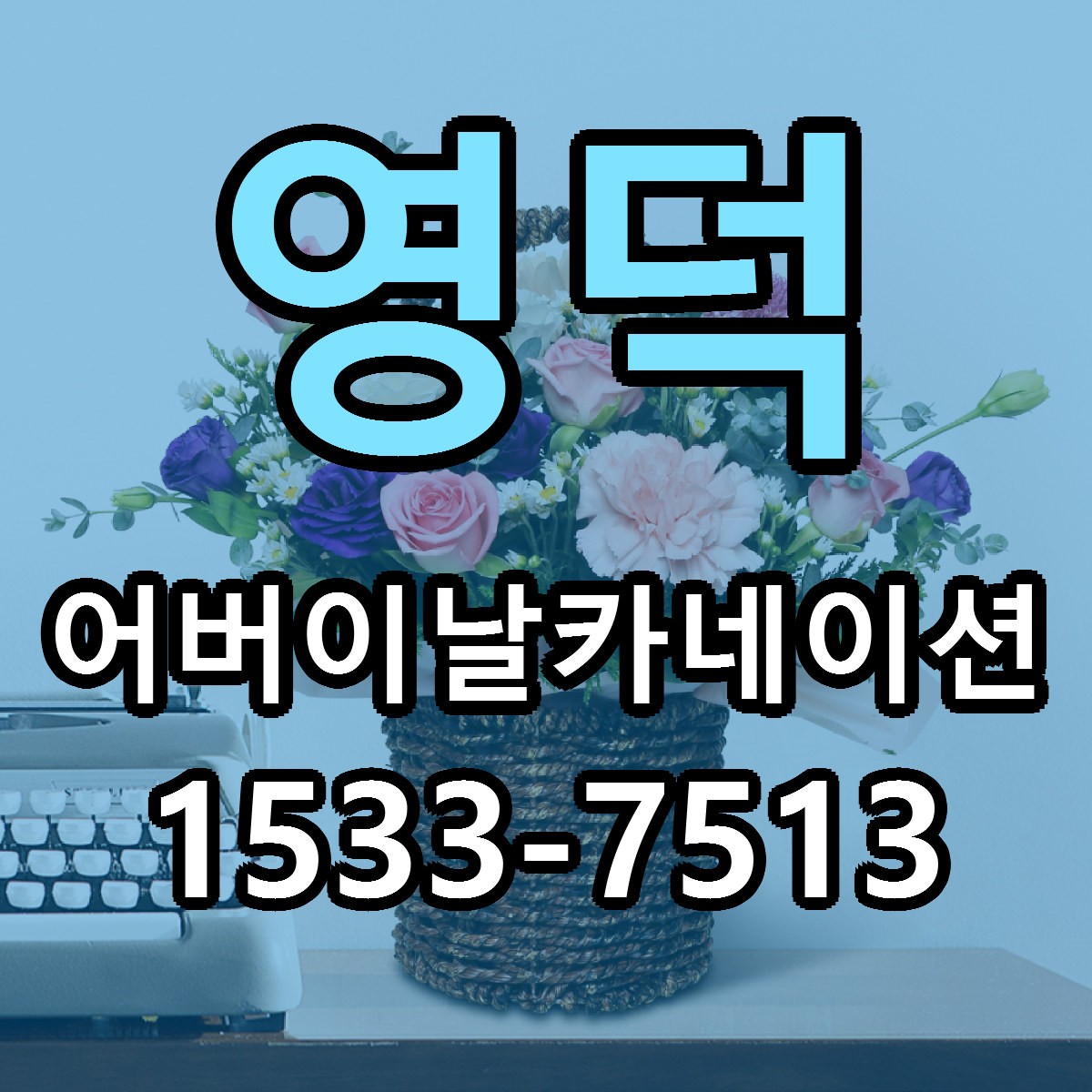 영덕 어버이날카네이션 당일배송 가격 저렴한곳 추천