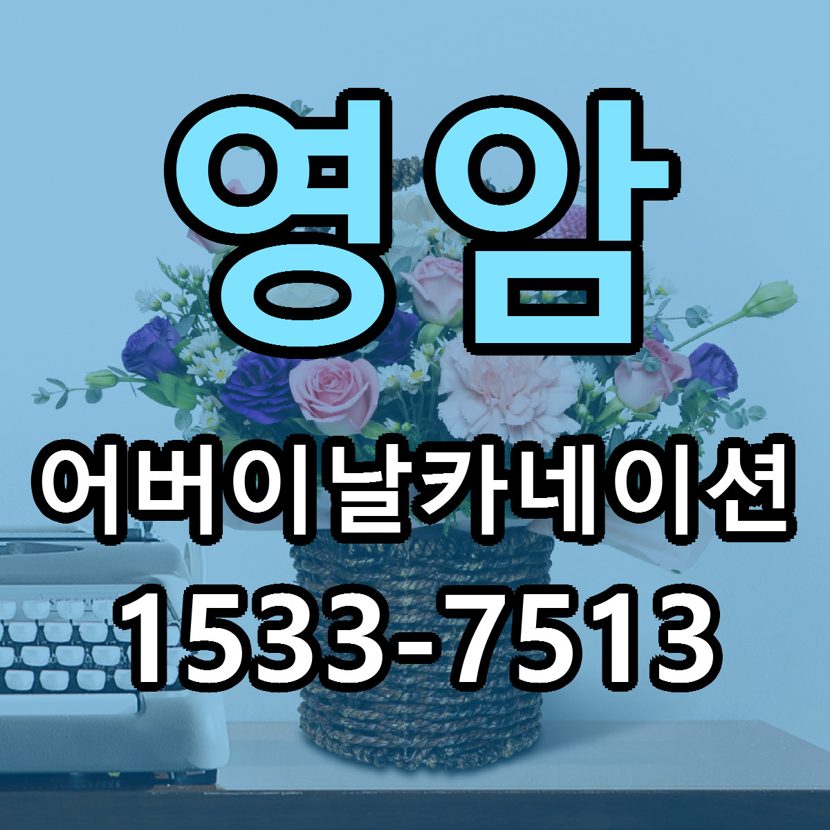 영암 어버이날카네이션 싼곳 빠른배송 리본문구 무료