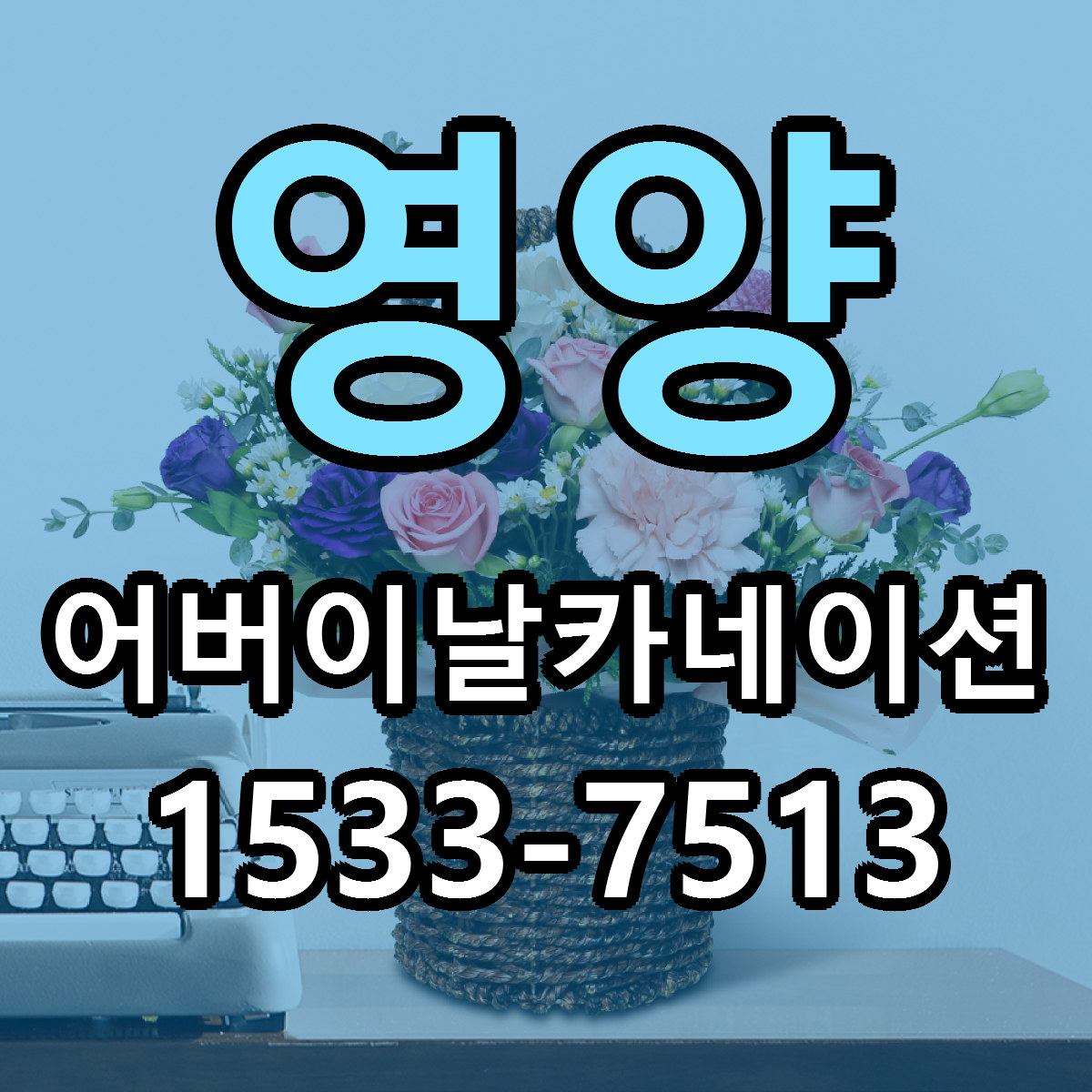 영양 어버이날카네이션 당일배송 저렴한곳 리본문구 추천