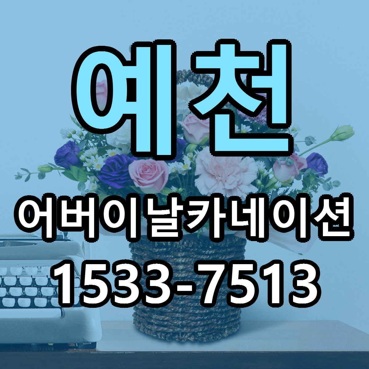 예천 어버이날카네이션 당일배송 가격 저렴한곳 추천
