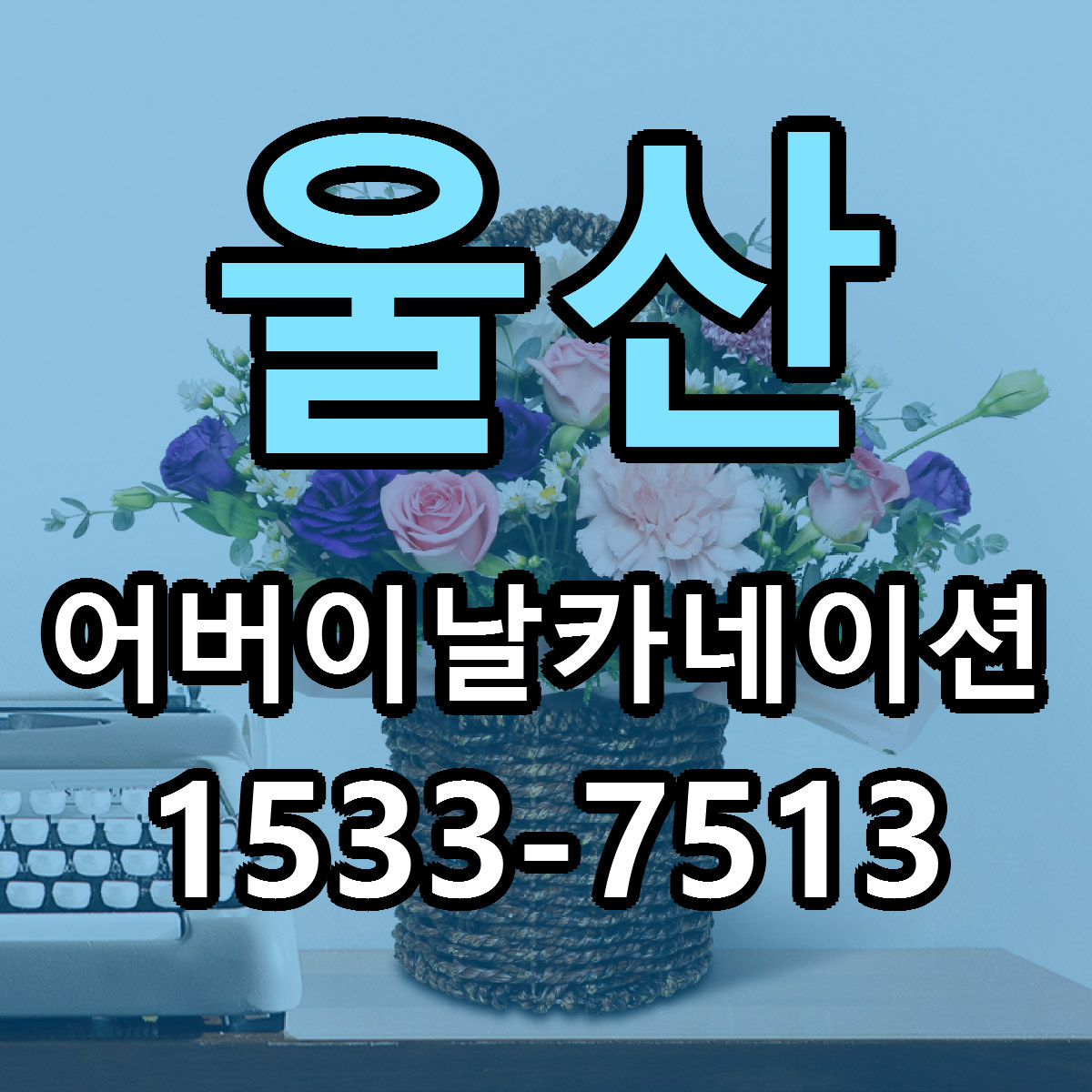 울산 어버이날카네이션 저렴한곳 당일배송 근처꽃집 추천