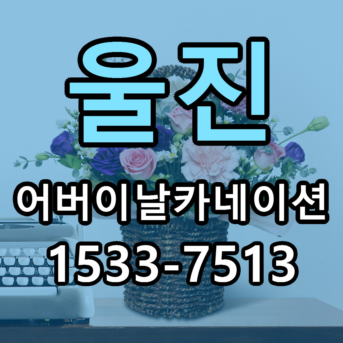 울진 어버이날카네이션 당일배송 빠른배송 싼곳 찾기