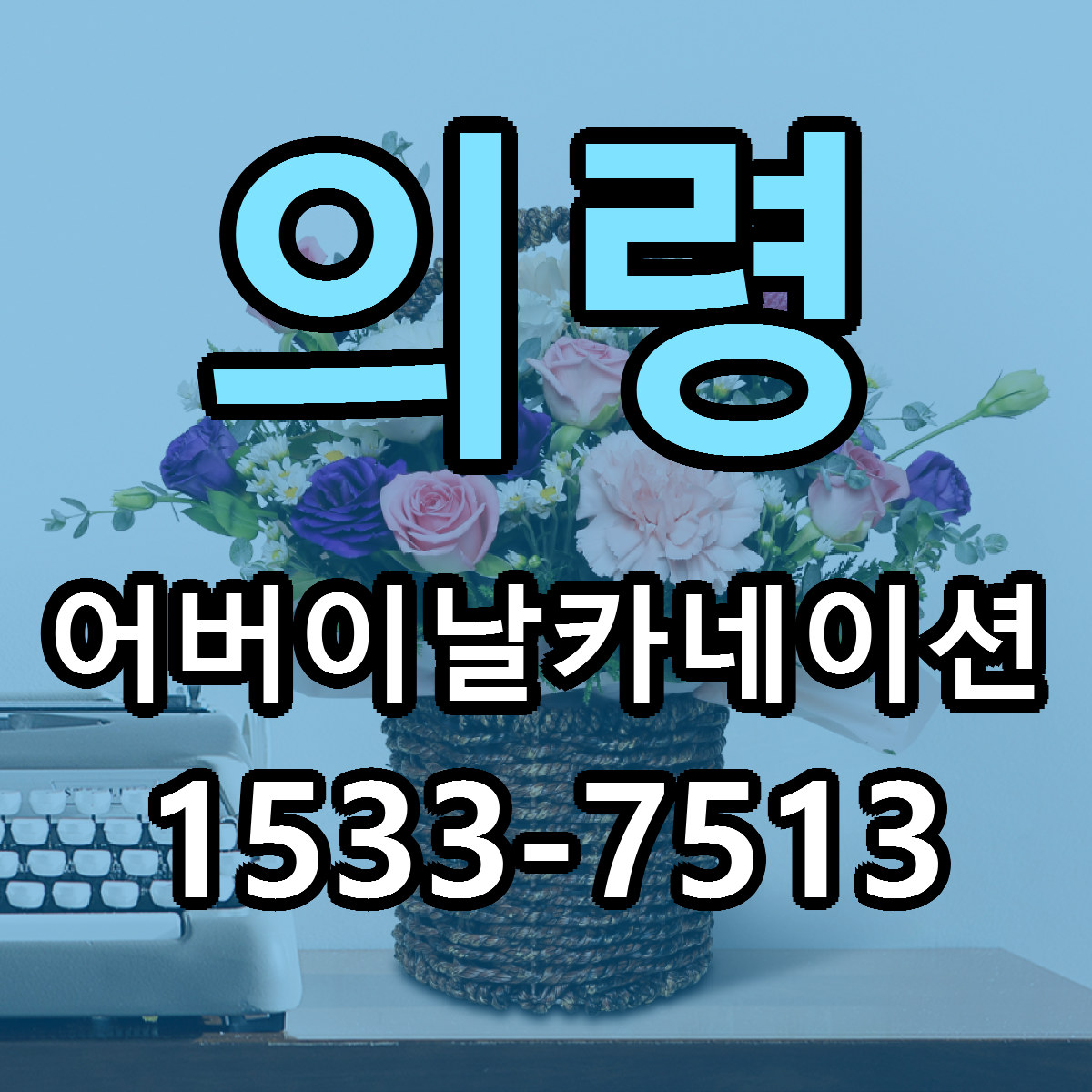 의령 어버이날카네이션 빠른배송 근처꽃집 가격 비교