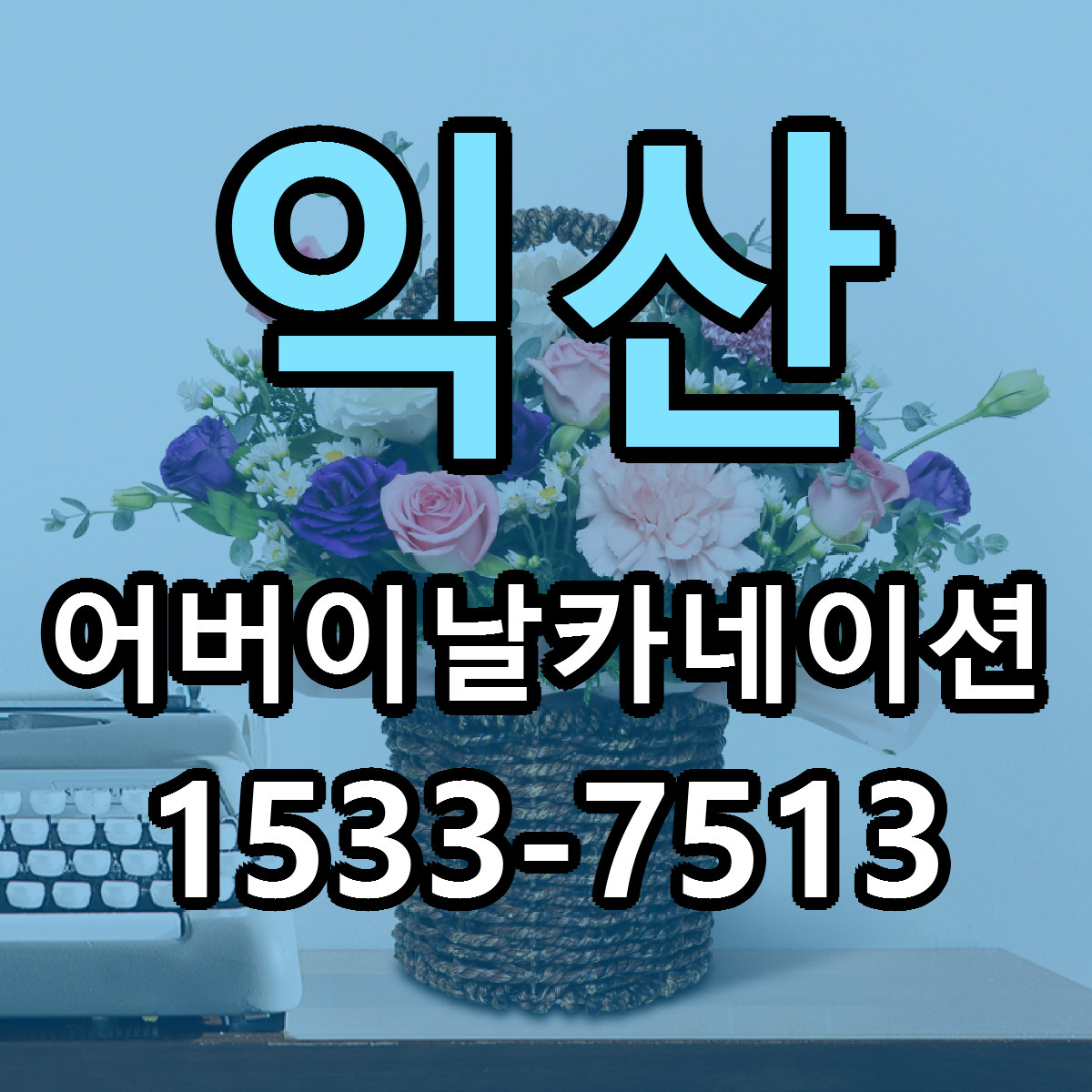 익산 어버이날카네이션 근처꽃집 저렴한곳 빠른배송 서비스
