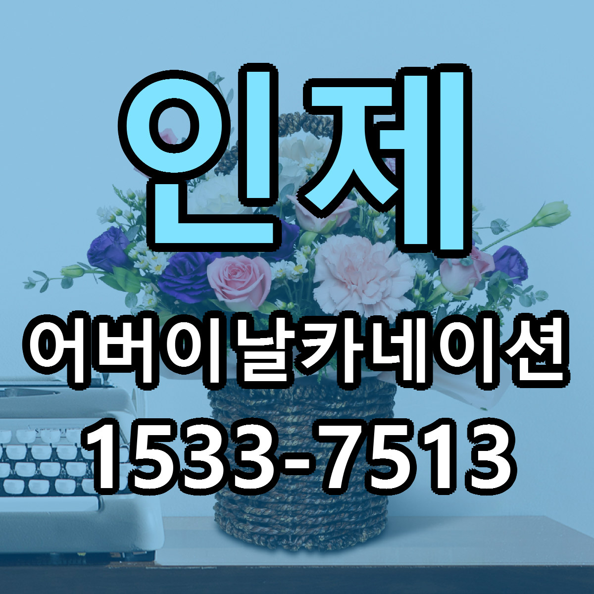 인제 어버이날카네이션 근처꽃집 당일배송 가격 안내