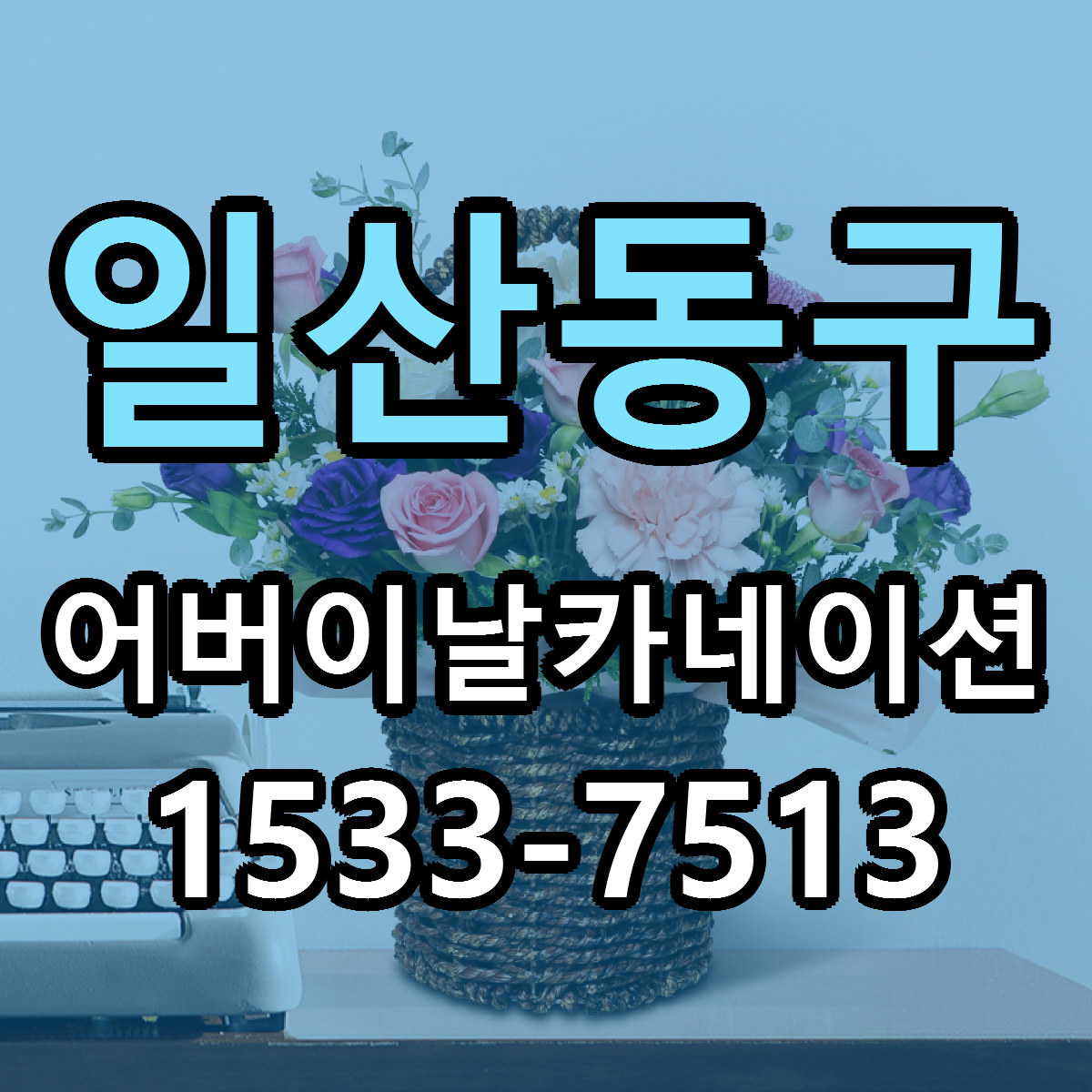 일산동구 어버이날카네이션 빠른배송 가격 저렴한곳 찾기