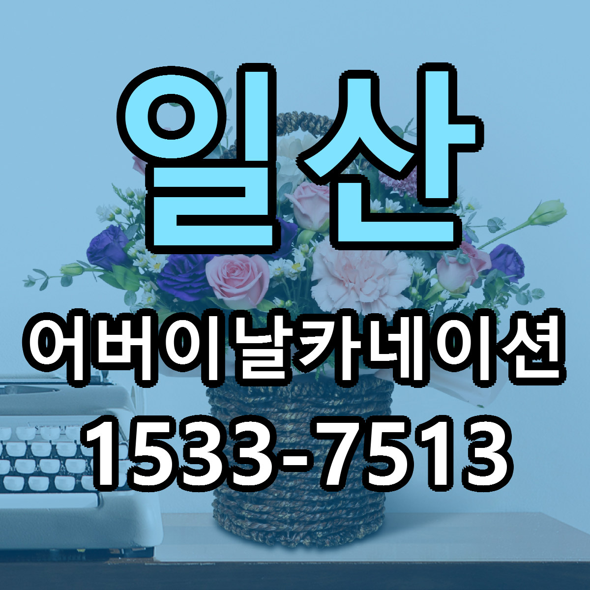 일산 어버이날카네이션 싼곳 당일배송 빠른배송 추천