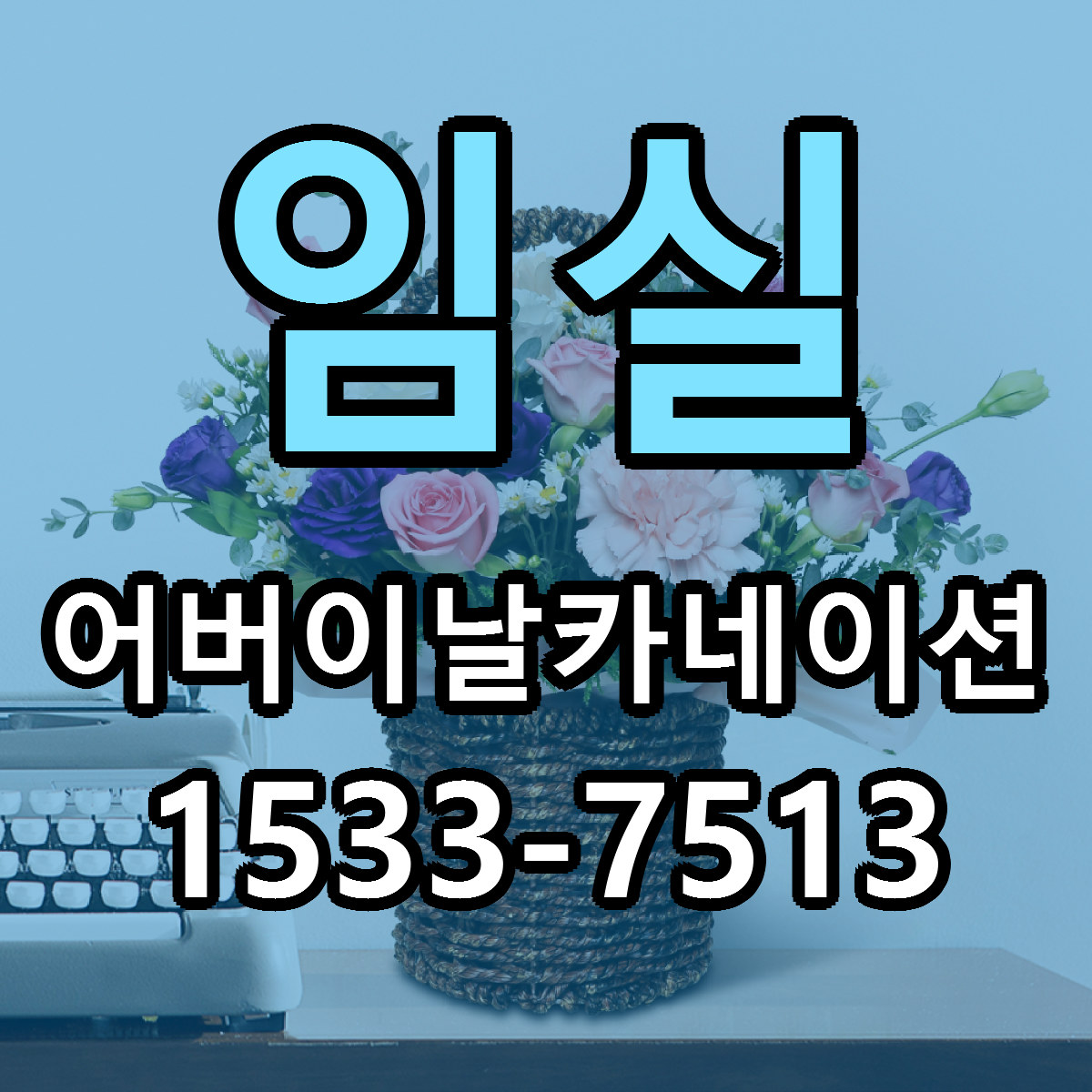 임실 어버이날카네이션 가격 착한 싼곳 당일배송 안내