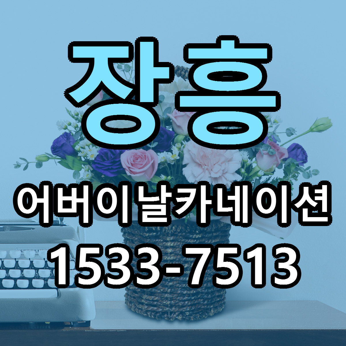 장흥 어버이날카네이션 저렴한곳 당일배송 가격 만족