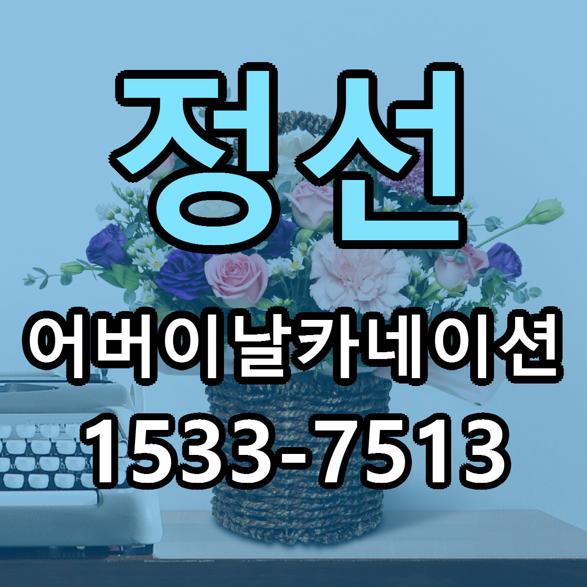 정선 어버이날카네이션 가격 만족 저렴한곳 리본문구 작성