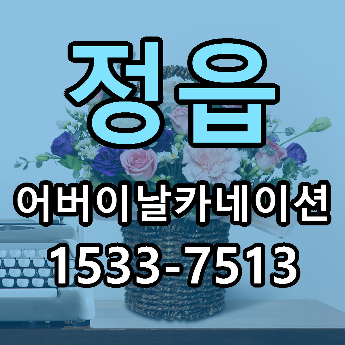 정읍 어버이날카네이션 가격 착한 싼곳 당일배송 안내