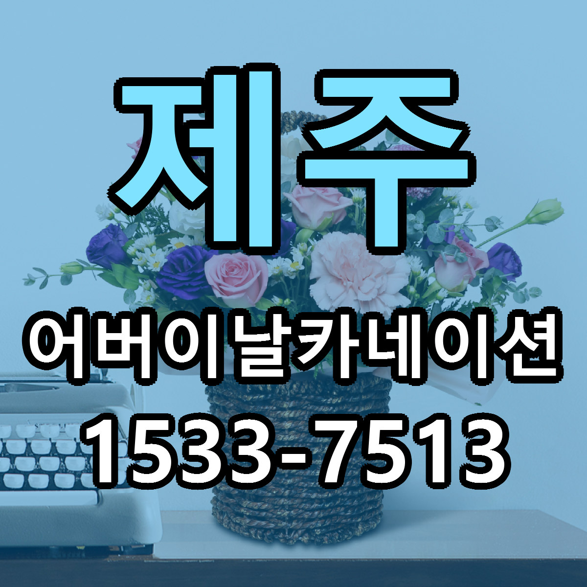 제주 어버이날카네이션 저렴한곳 당일배송 가격 만족