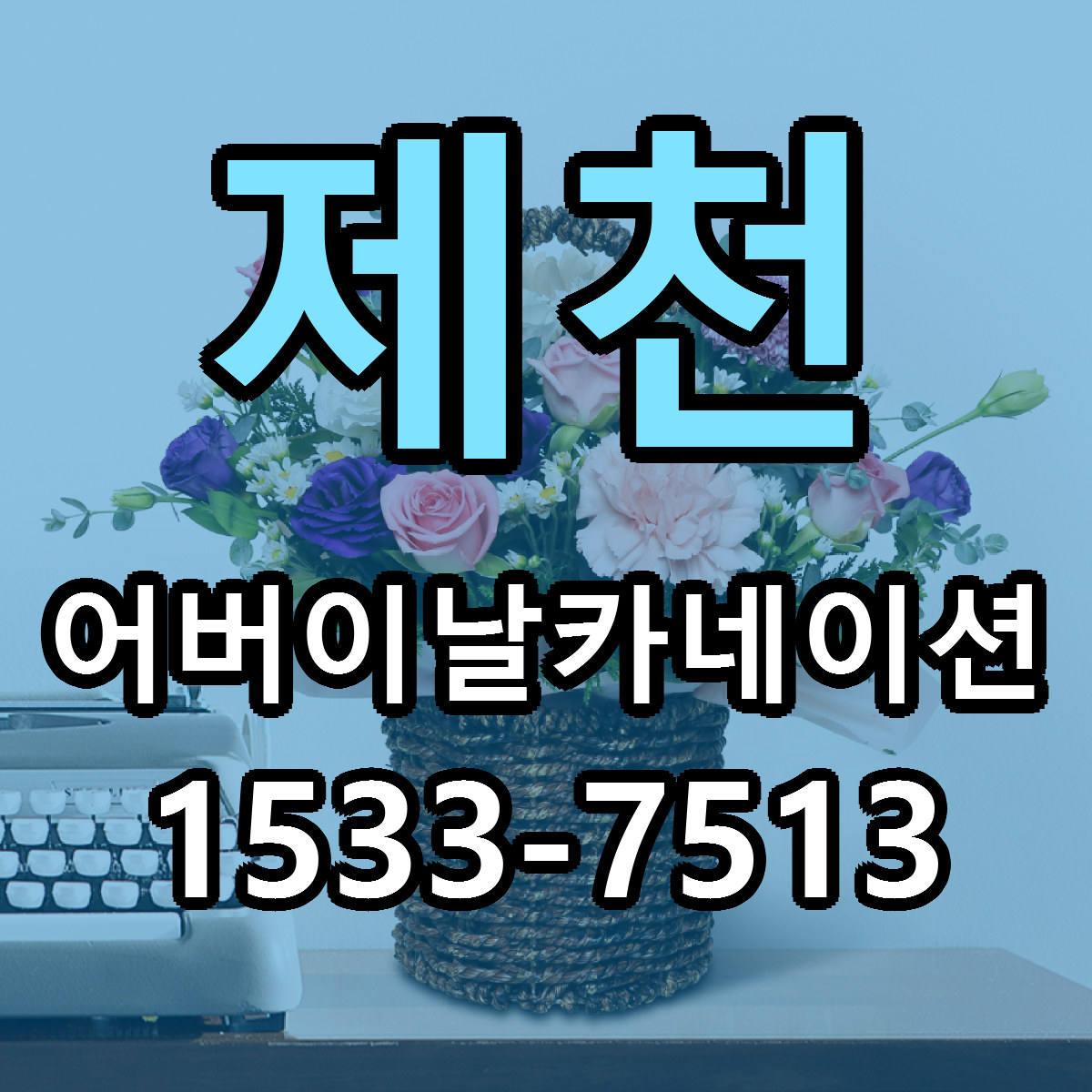제천 어버이날카네이션 가격 착한 싼곳 당일배송 안내