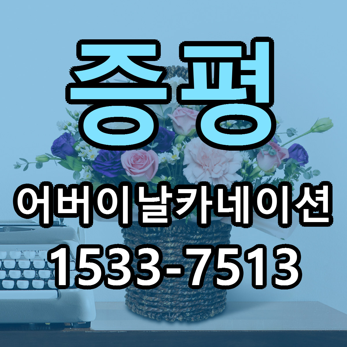 증평 어버이날카네이션 가격 착한 싼곳 당일배송 안내