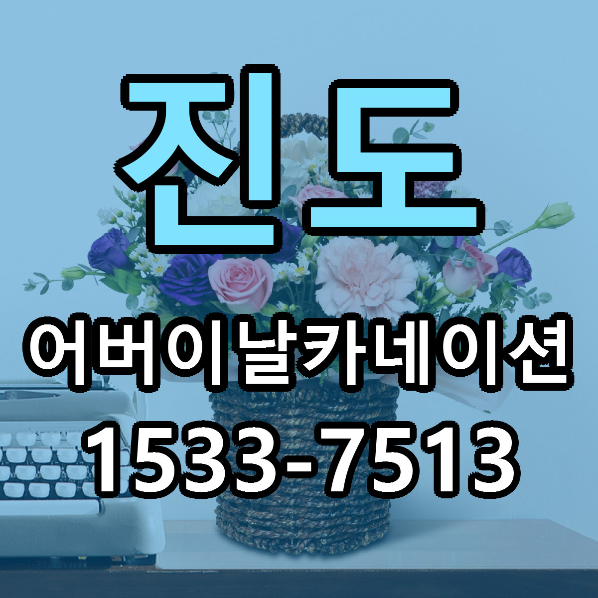 진도 어버이날카네이션 당일배송 리본문구 빠른배송 서비스