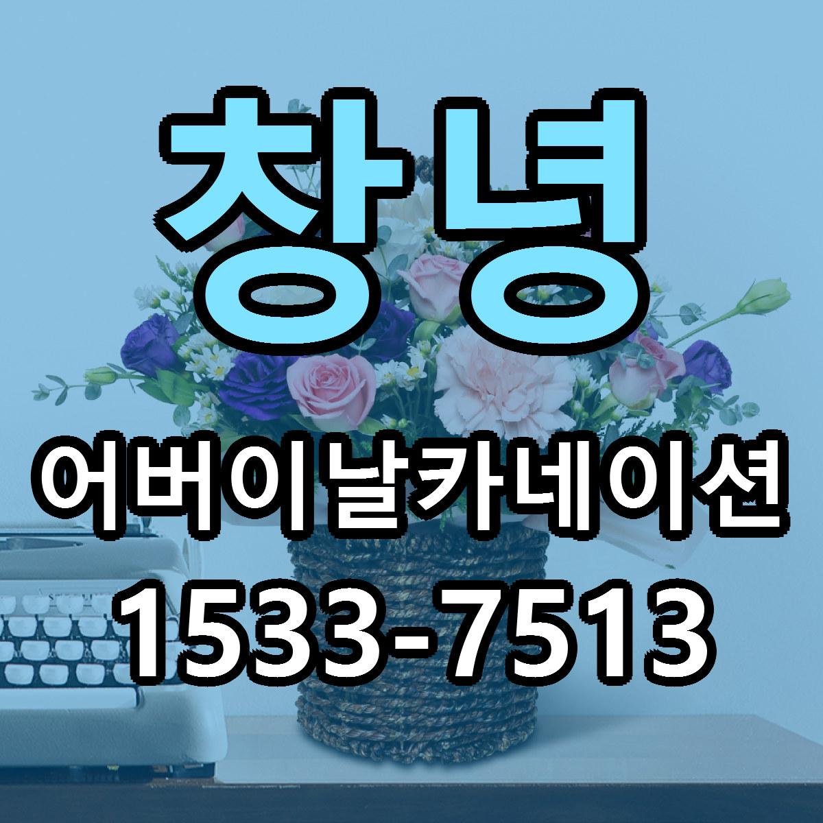 창녕 어버이날카네이션 저렴한곳 당일배송 가격 만족