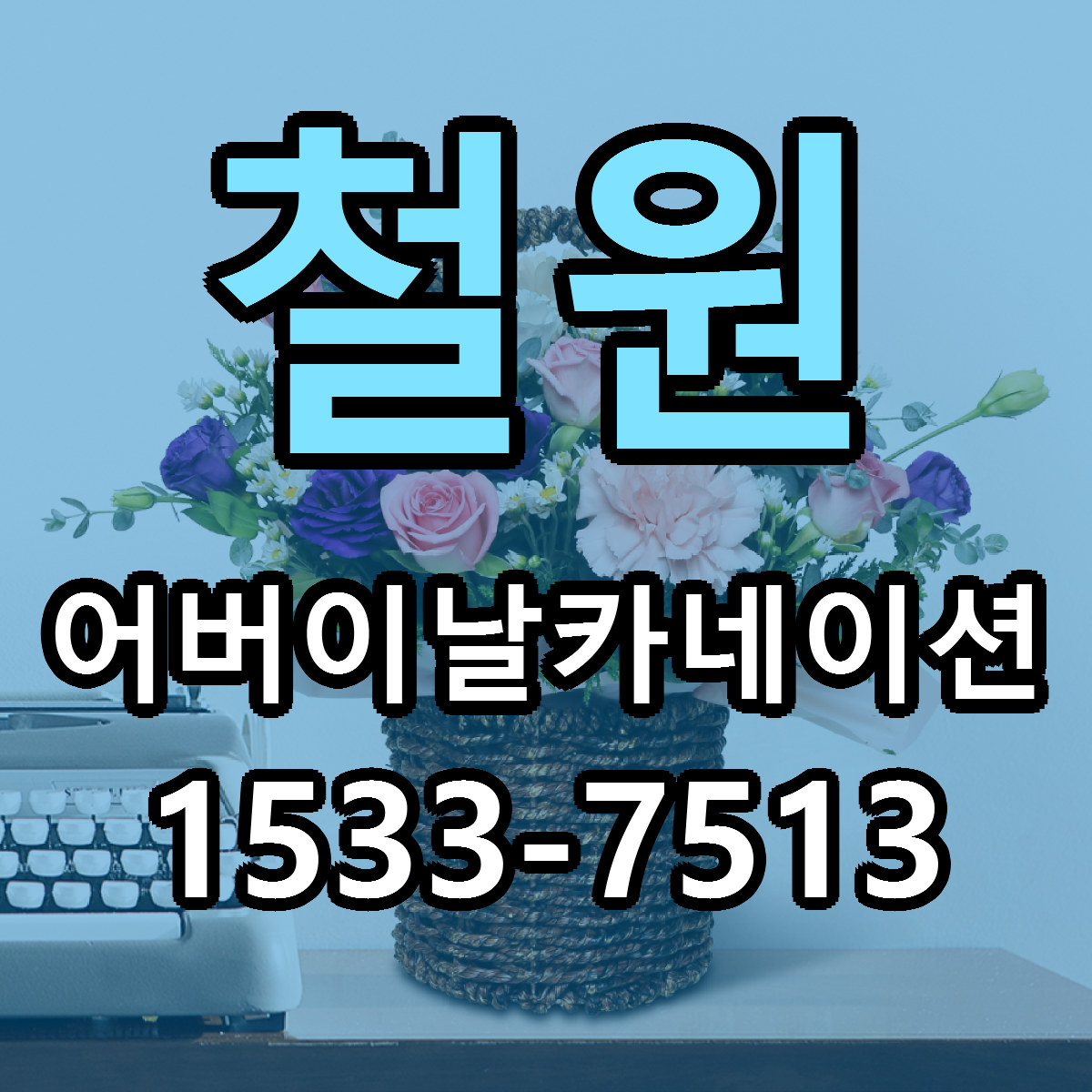 철원 어버이날카네이션 저렴한곳 당일배송 근처꽃집 추천