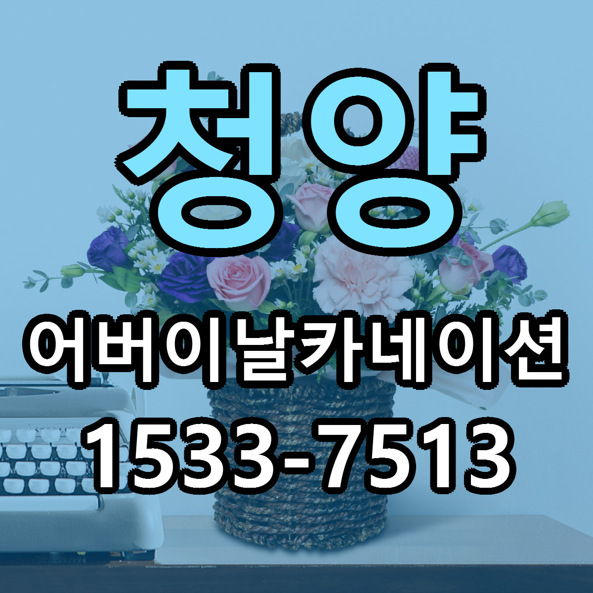 청양 어버이날카네이션 근처꽃집 당일배송 싼곳 추천
