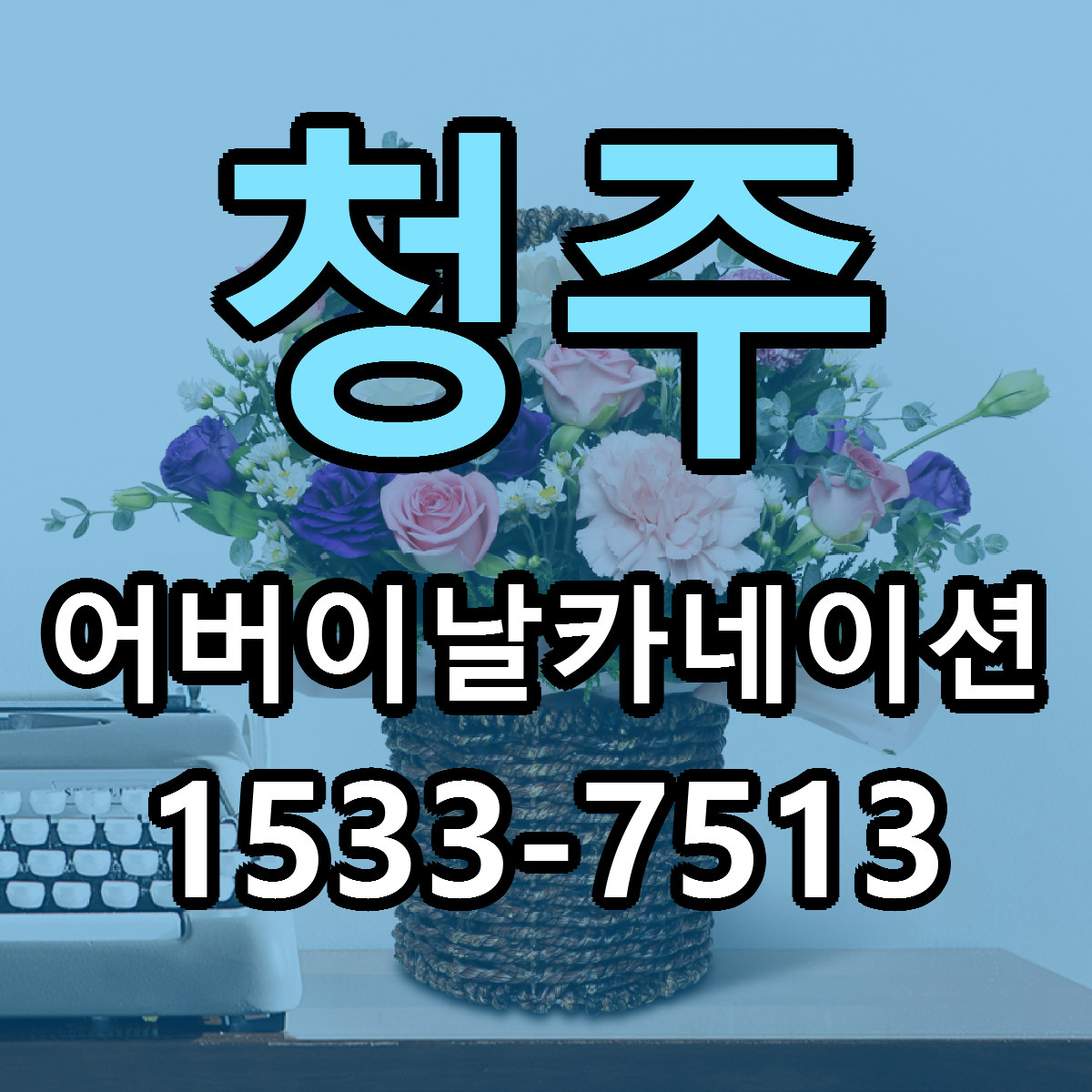 청주 어버이날카네이션 빠른배송 싼곳 가격 문의