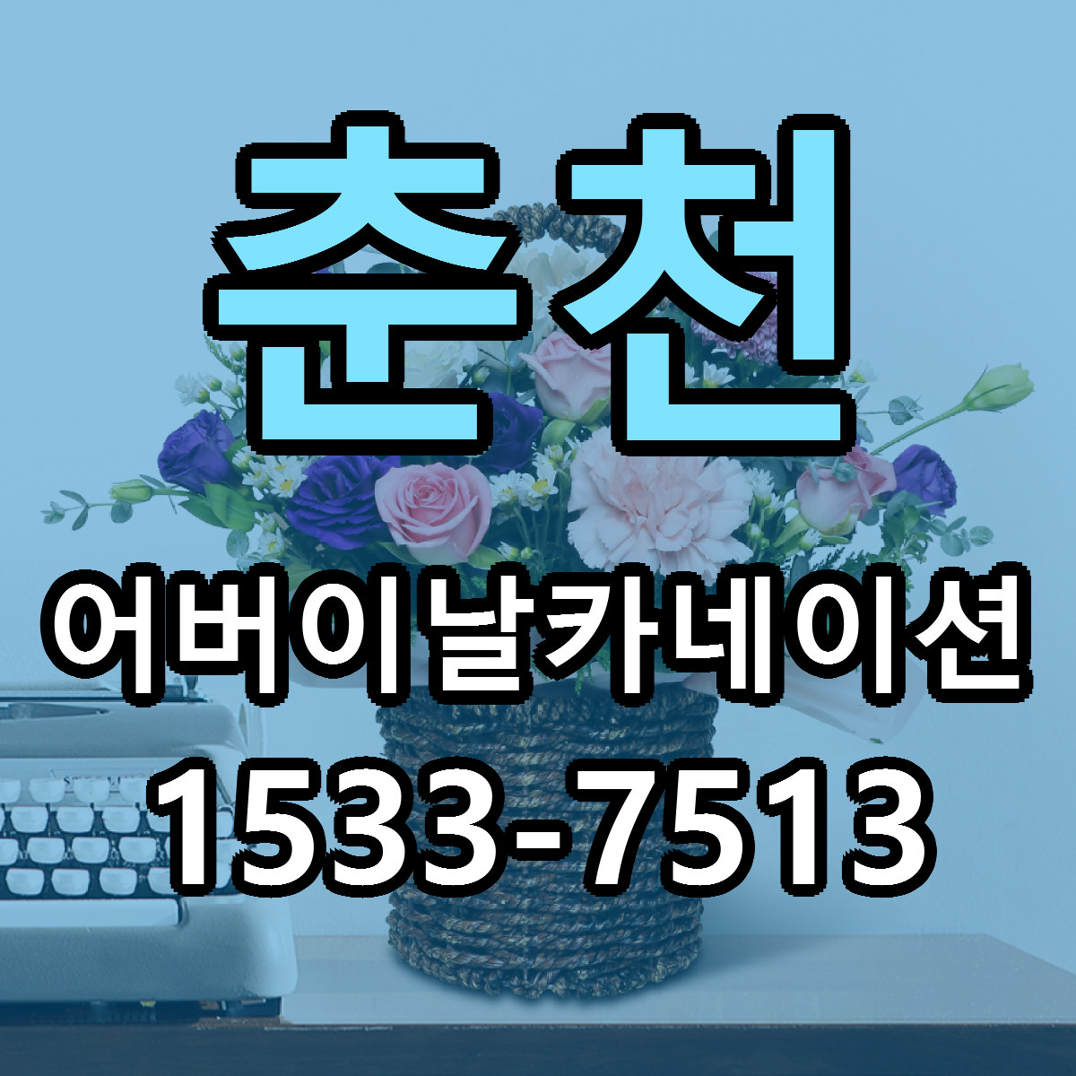 춘천 어버이날카네이션 당일배송 리본문구 싼곳 찾기