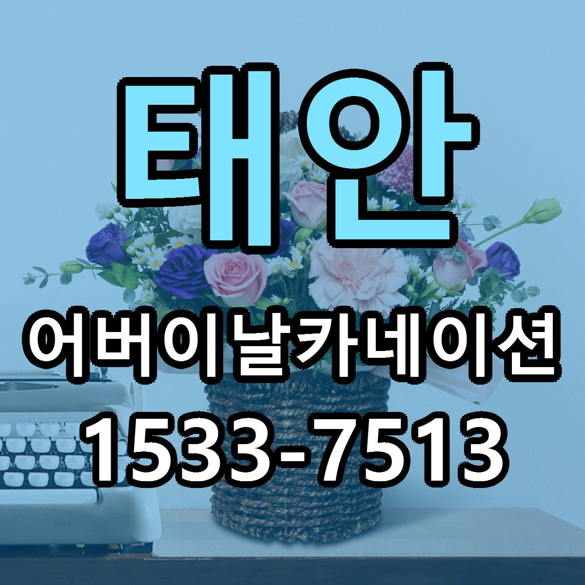 태안 어버이날카네이션 당일배송 가격 저렴한곳 추천