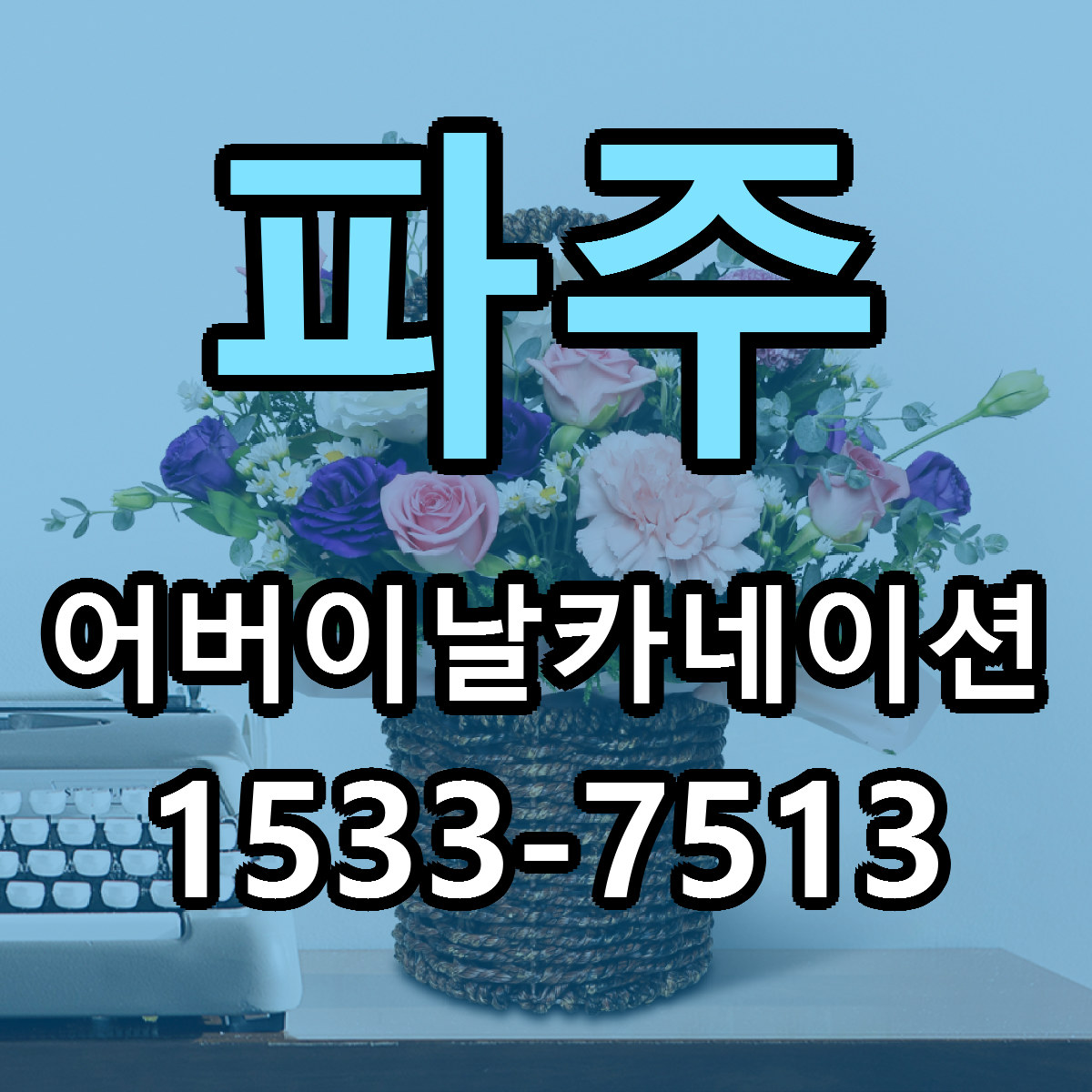 파주 어버이날카네이션 당일배송 빠른배송 싼곳 찾기
