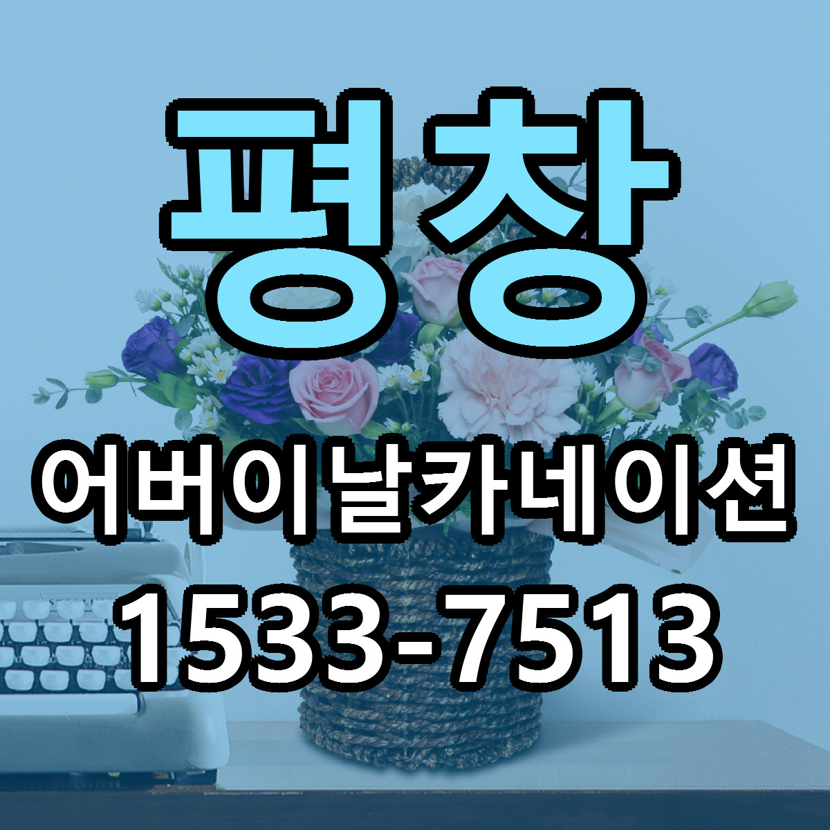 평창 어버이날카네이션 당일배송 근처꽃집 싼곳 비교