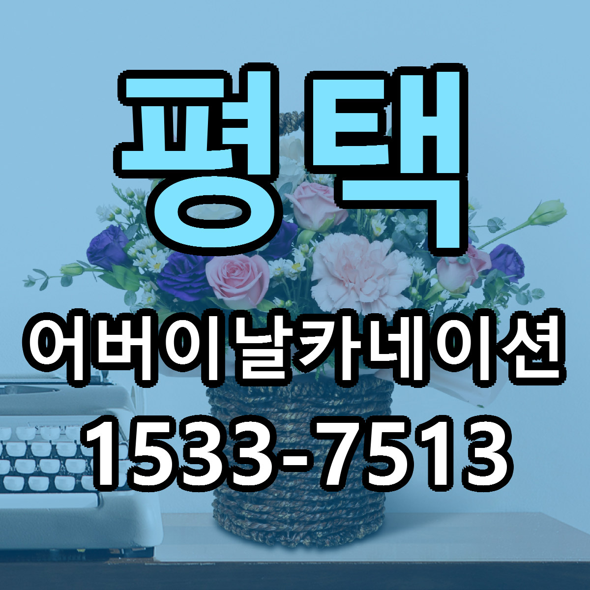 평택 어버이날카네이션 당일배송 리본문구 빠른배송 서비스