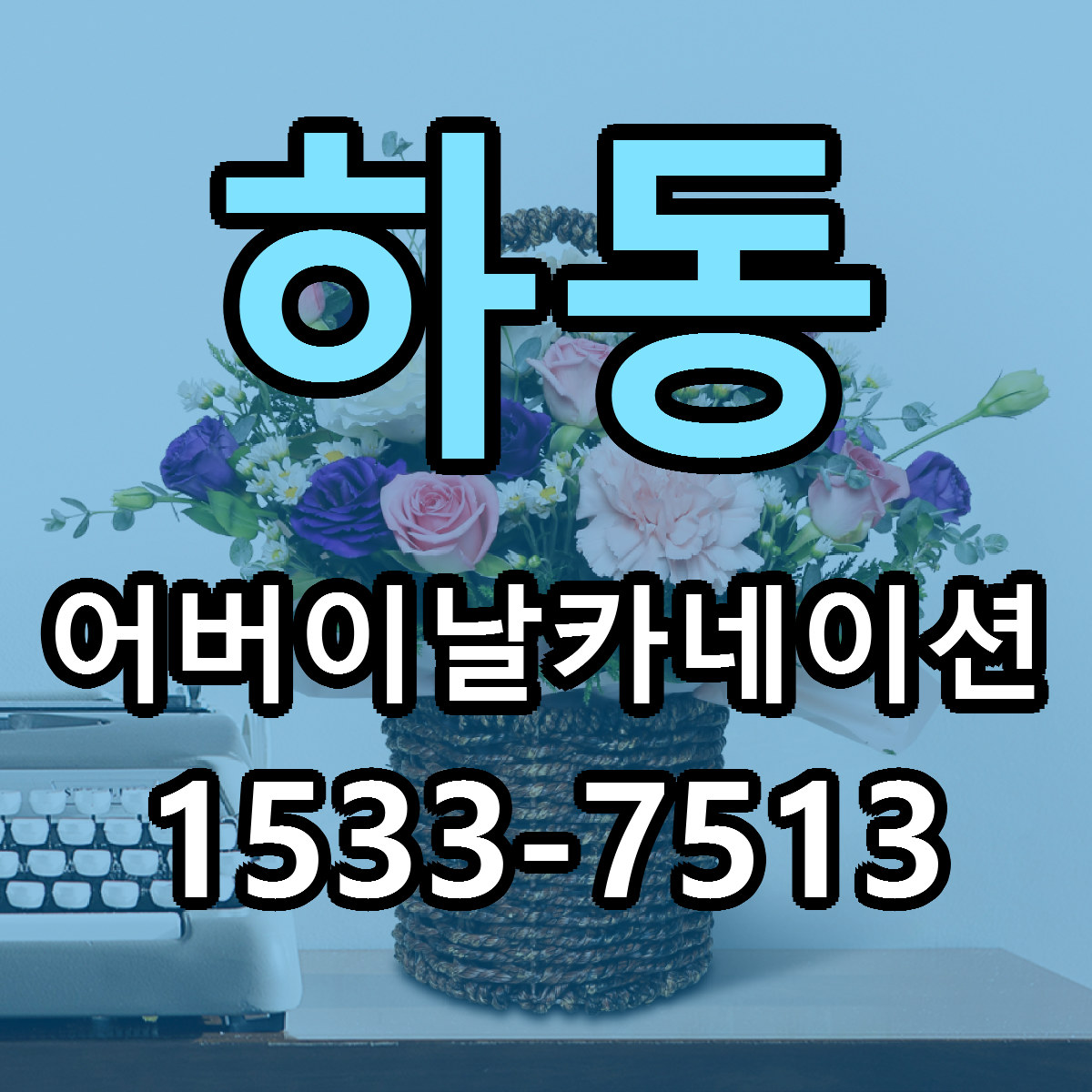 하동 어버이날카네이션 빠른배송 리본문구 가격 알뜰 비교
