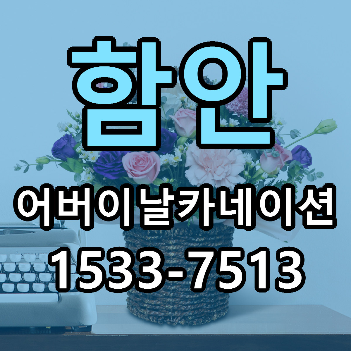 함안 어버이날카네이션 당일배송 리본문구 싼곳 찾기
