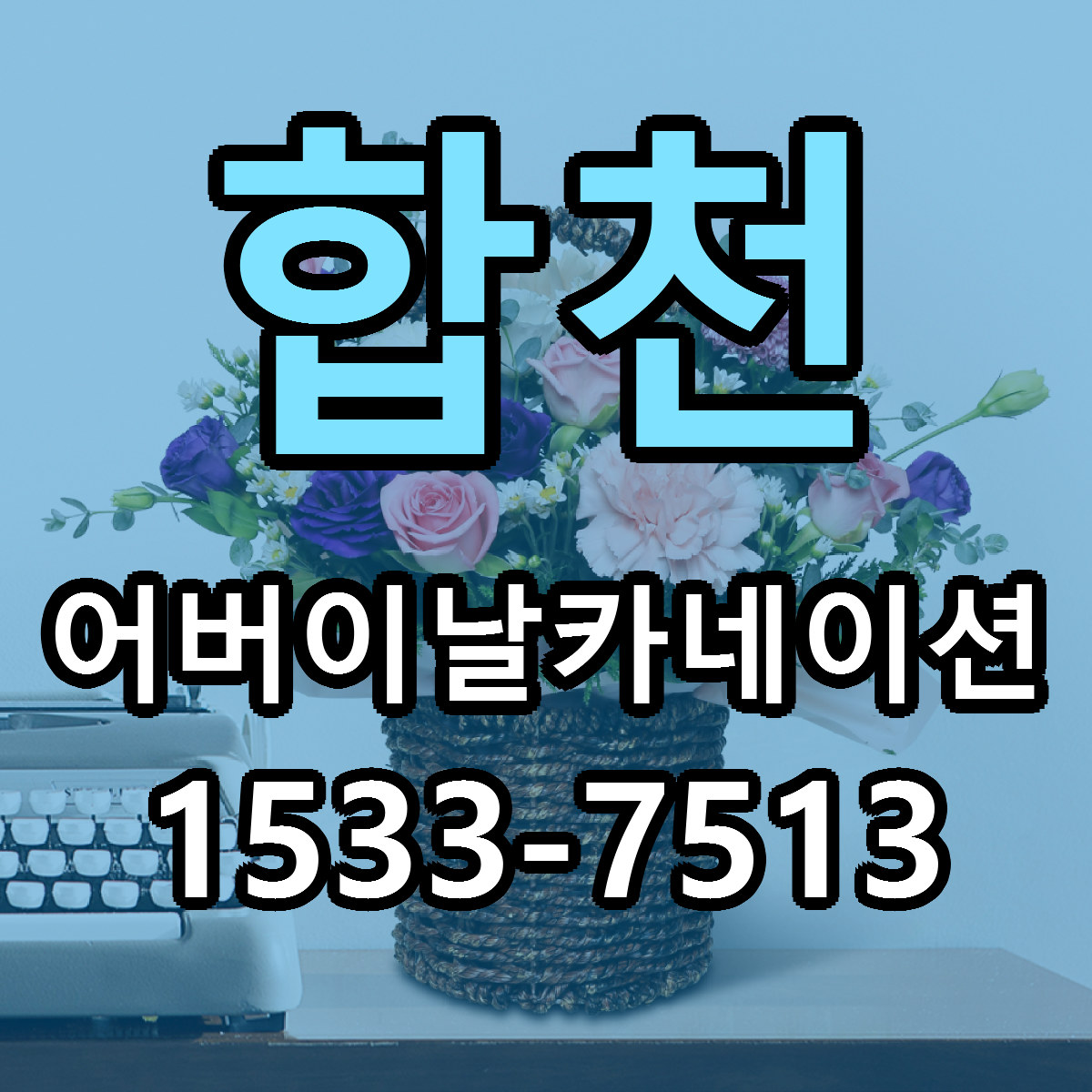 합천 어버이날카네이션 빠른배송 저렴한곳 가격 정리