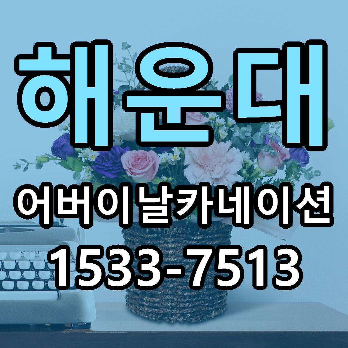 해운대 어버이날카네이션 저렴한곳 당일배송 가격 만족