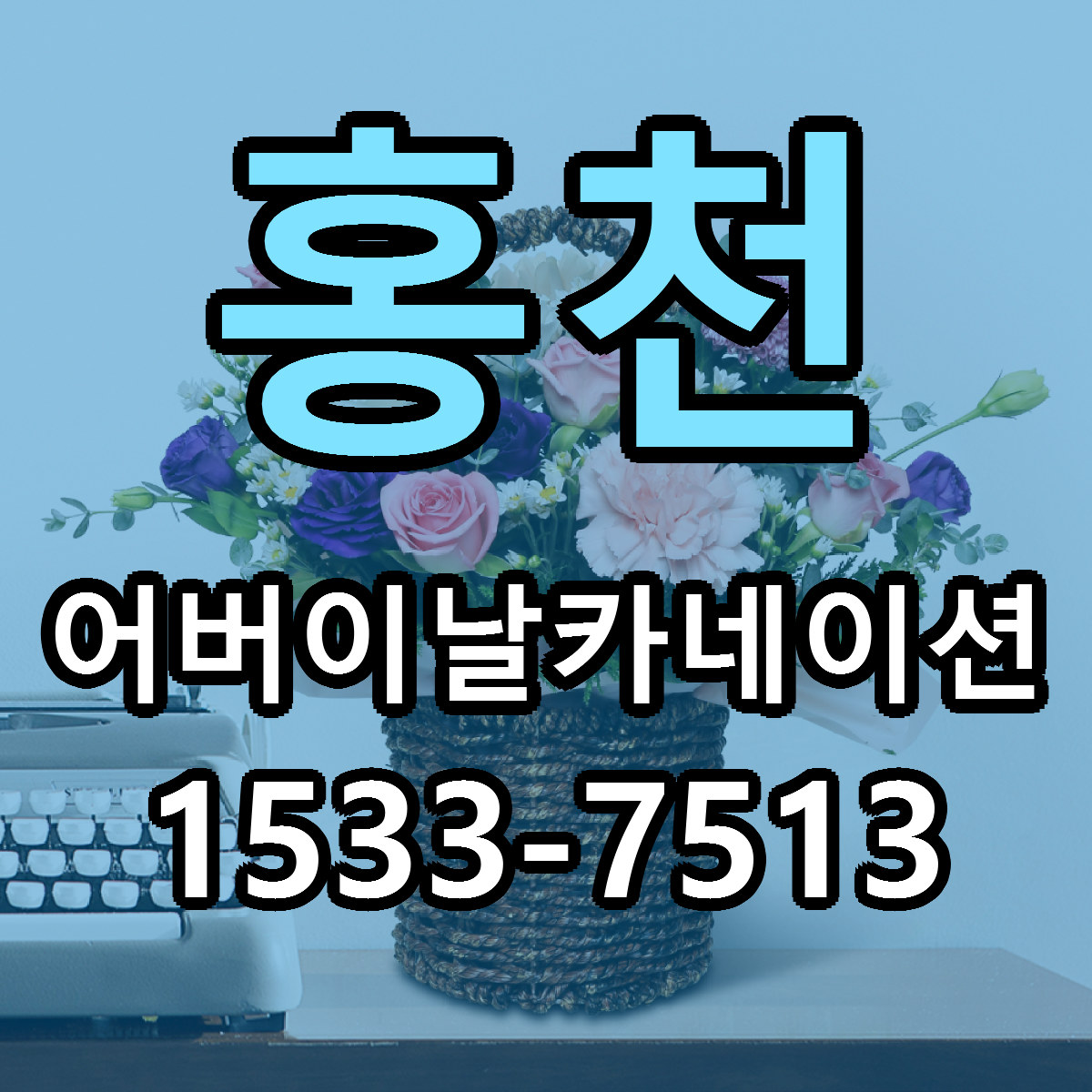 홍천 어버이날카네이션 빠른배송 근처꽃집 가격 비교