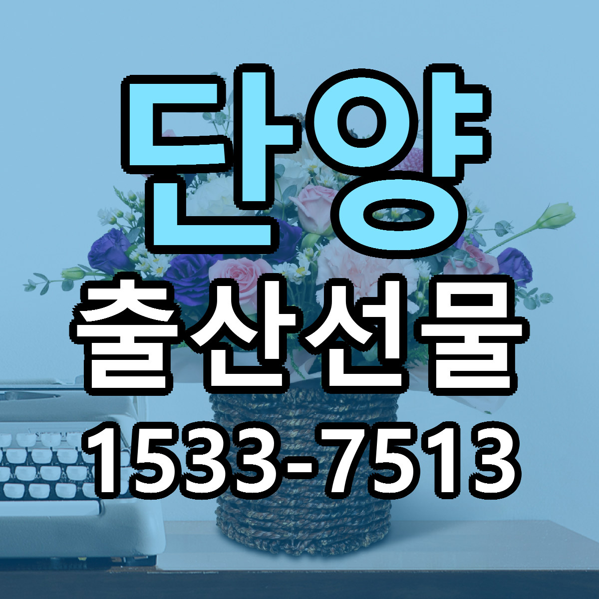 단양 출산선물 빠른배송 가격 저렴한곳 찾기