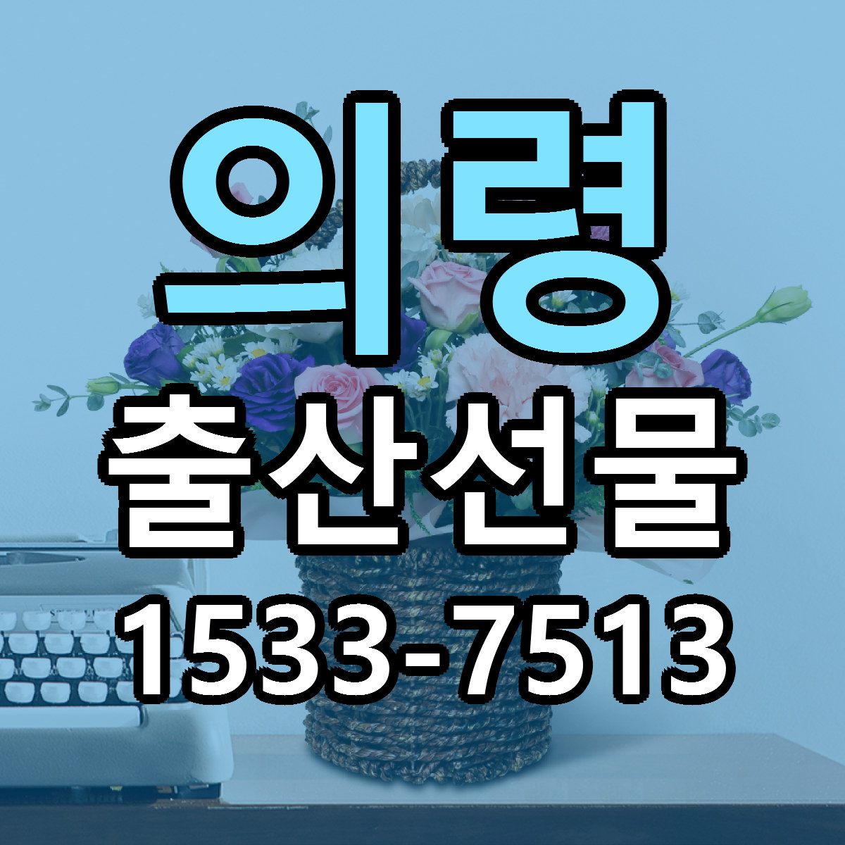 의령 출산선물 빠른배송 리본문구 가격 알뜰 비교