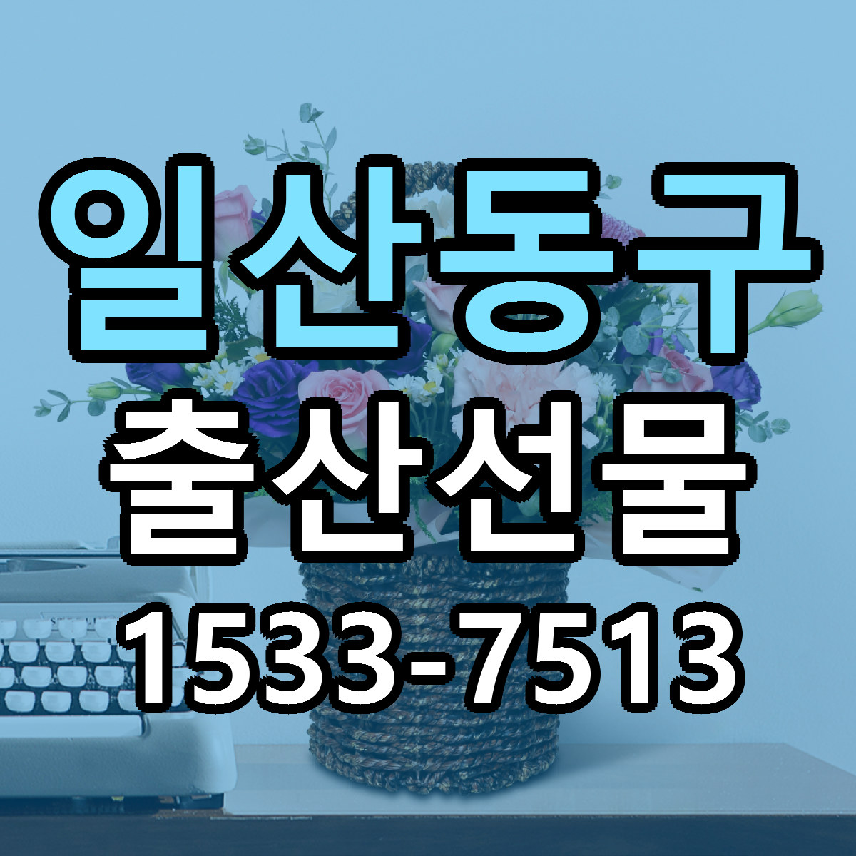 일산동구 출산선물 빠른배송 리본문구 가격 알뜰 비교