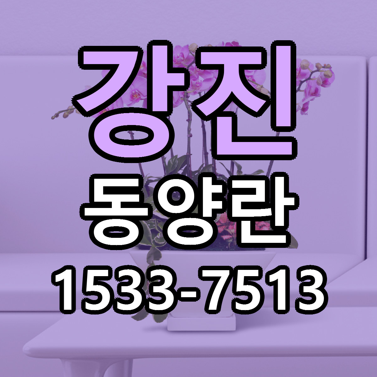 강진 동양란 리본문구 근처꽃집 저렴한곳 예약