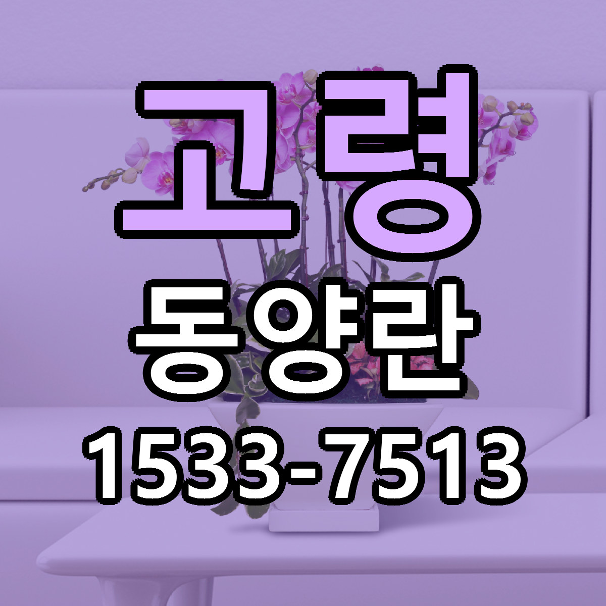 고령 동양란 가격 만족 저렴한곳 리본문구 작성