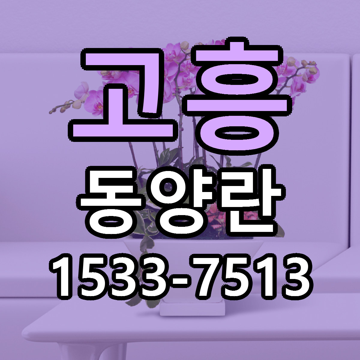 고흥 동양란 가격 만족 저렴한곳 리본문구 작성