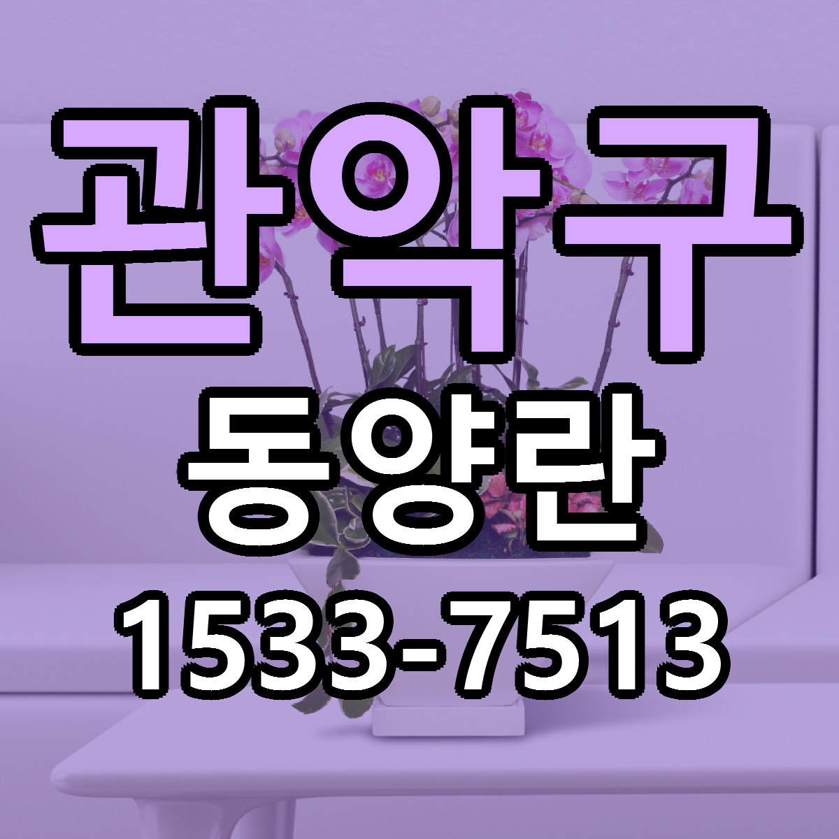관악구 동양란 근처꽃집 가격 저렴한곳 안내