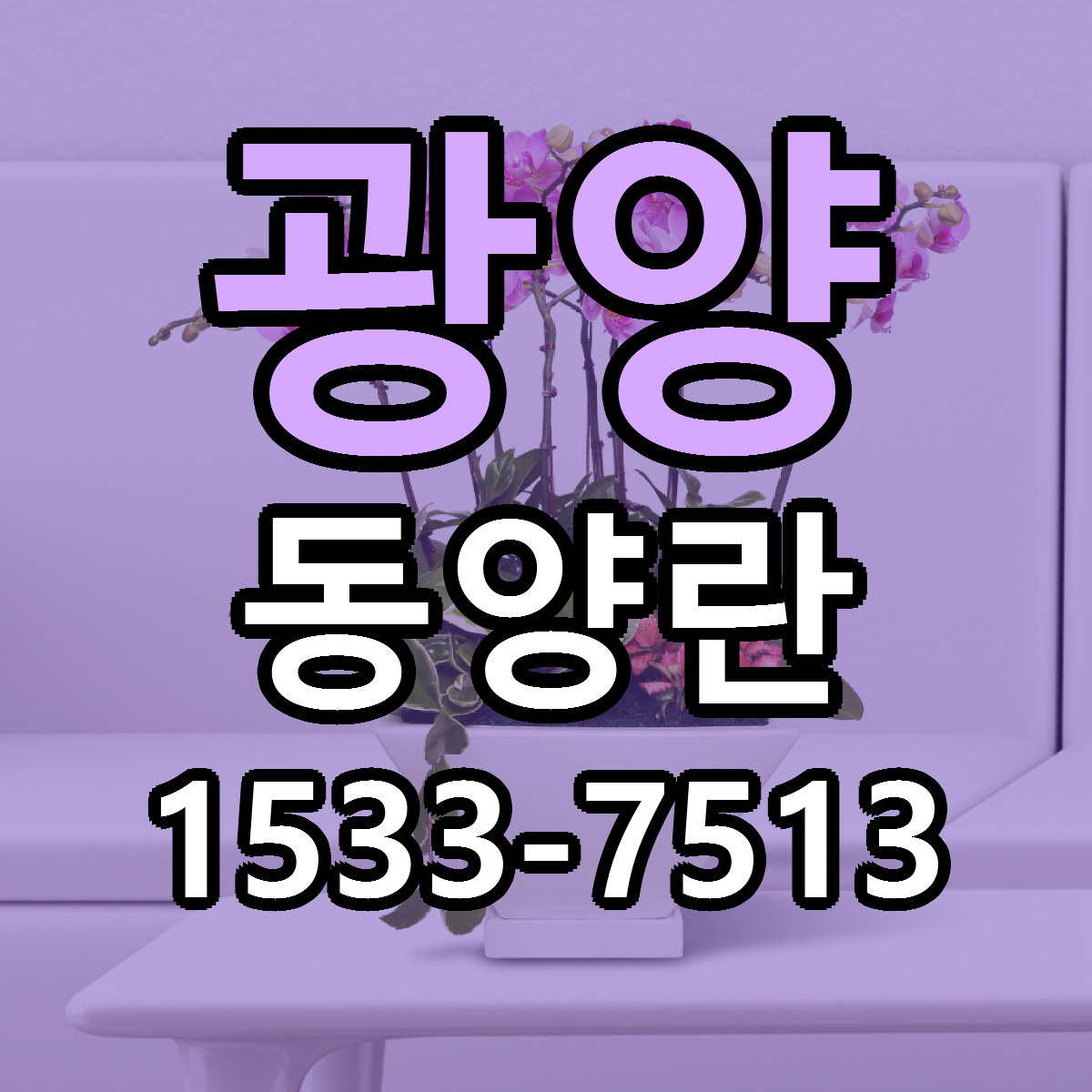 광양 동양란 싼곳 당일배송 리본문구 작성