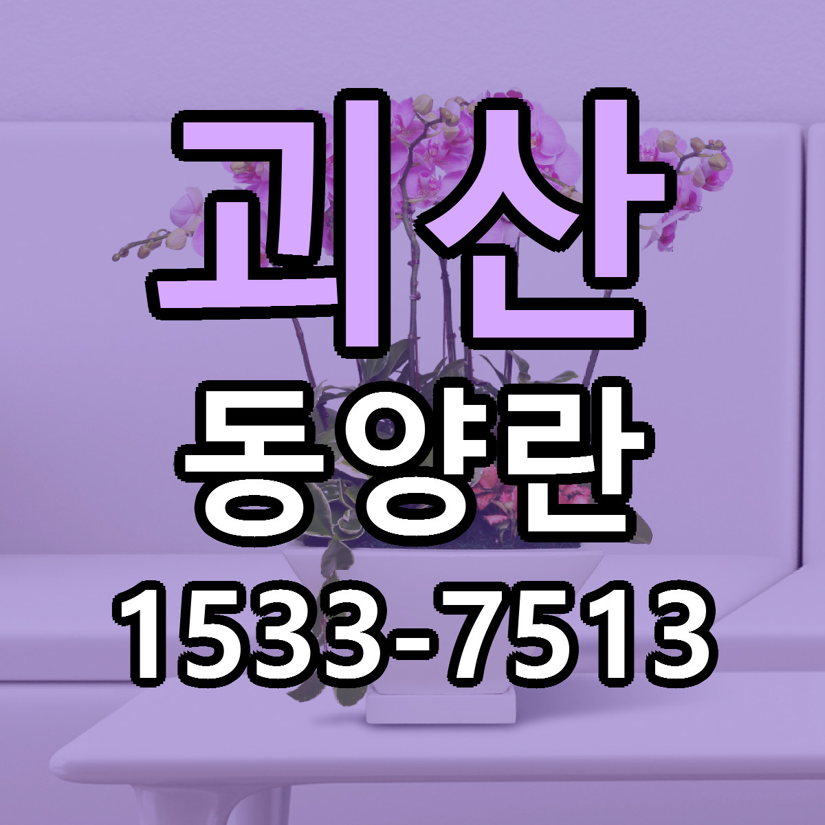 괴산 동양란 근처꽃집 당일배송 싼곳 추천