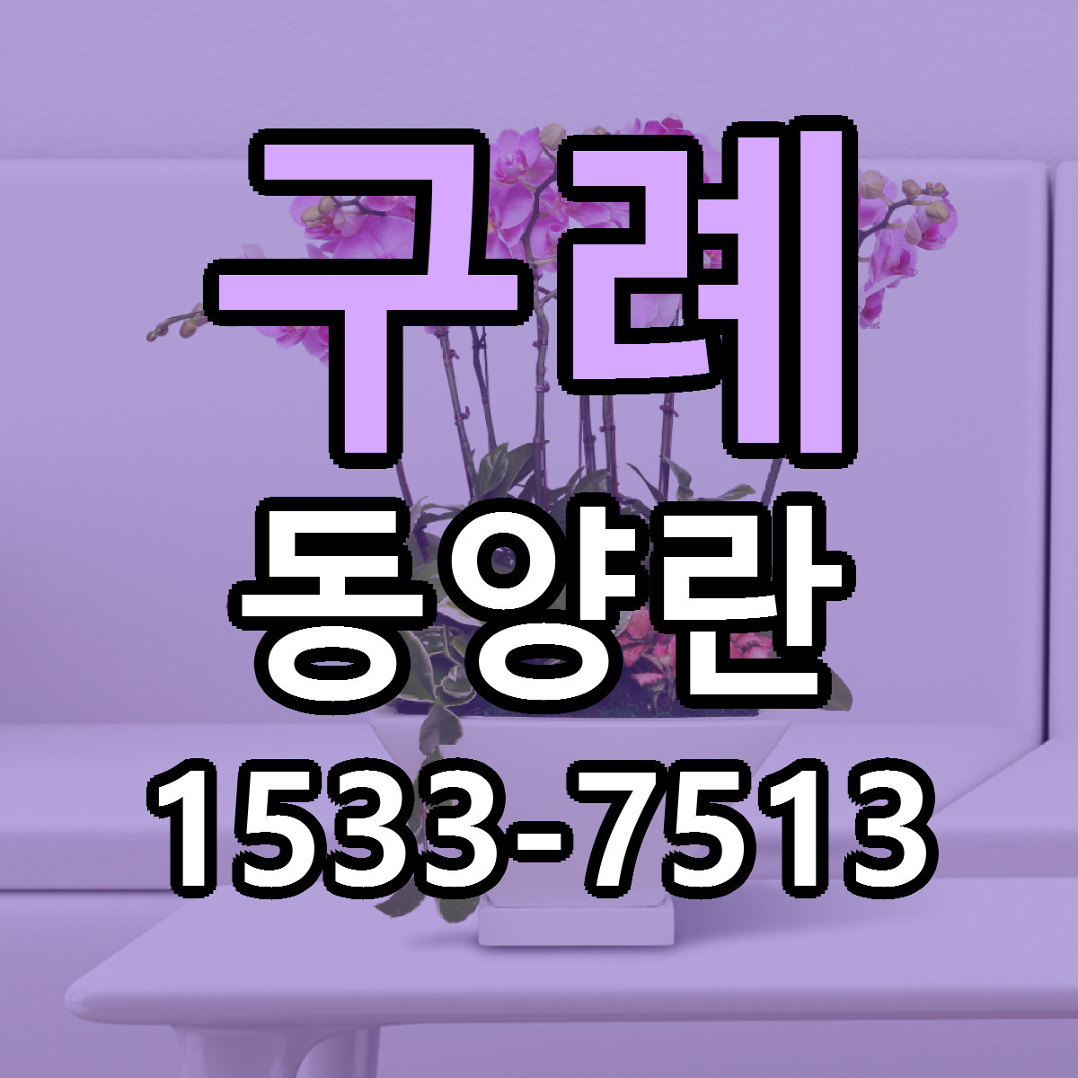 구례 동양란 싼곳 당일배송 빠른배송 추천