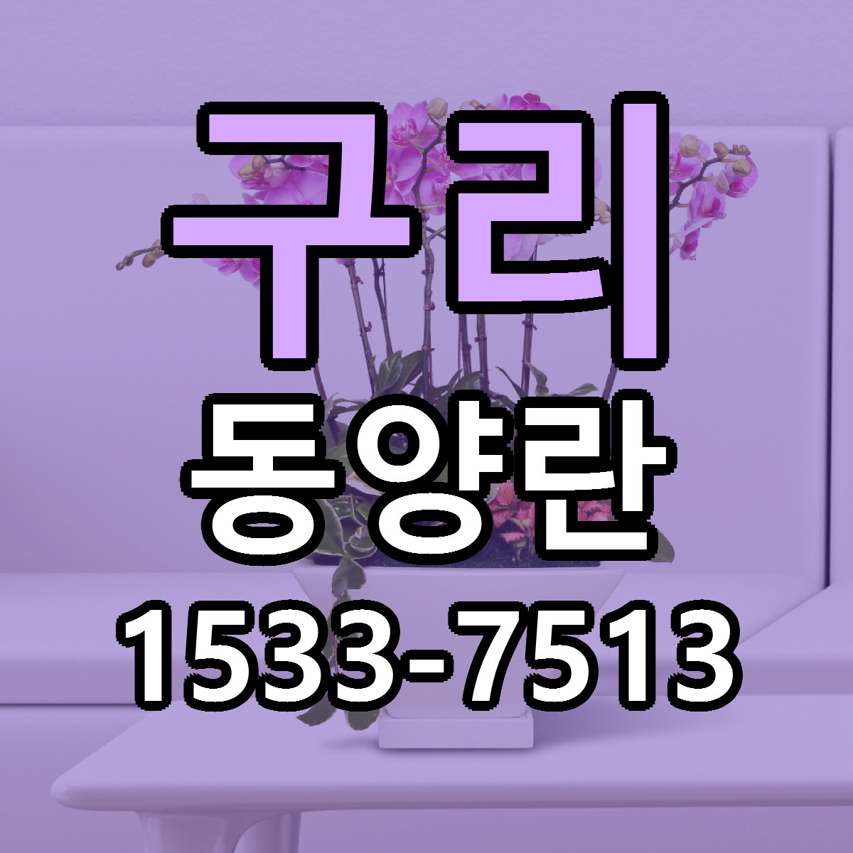 구리 동양란 근처꽃집 당일배송 싼곳 추천