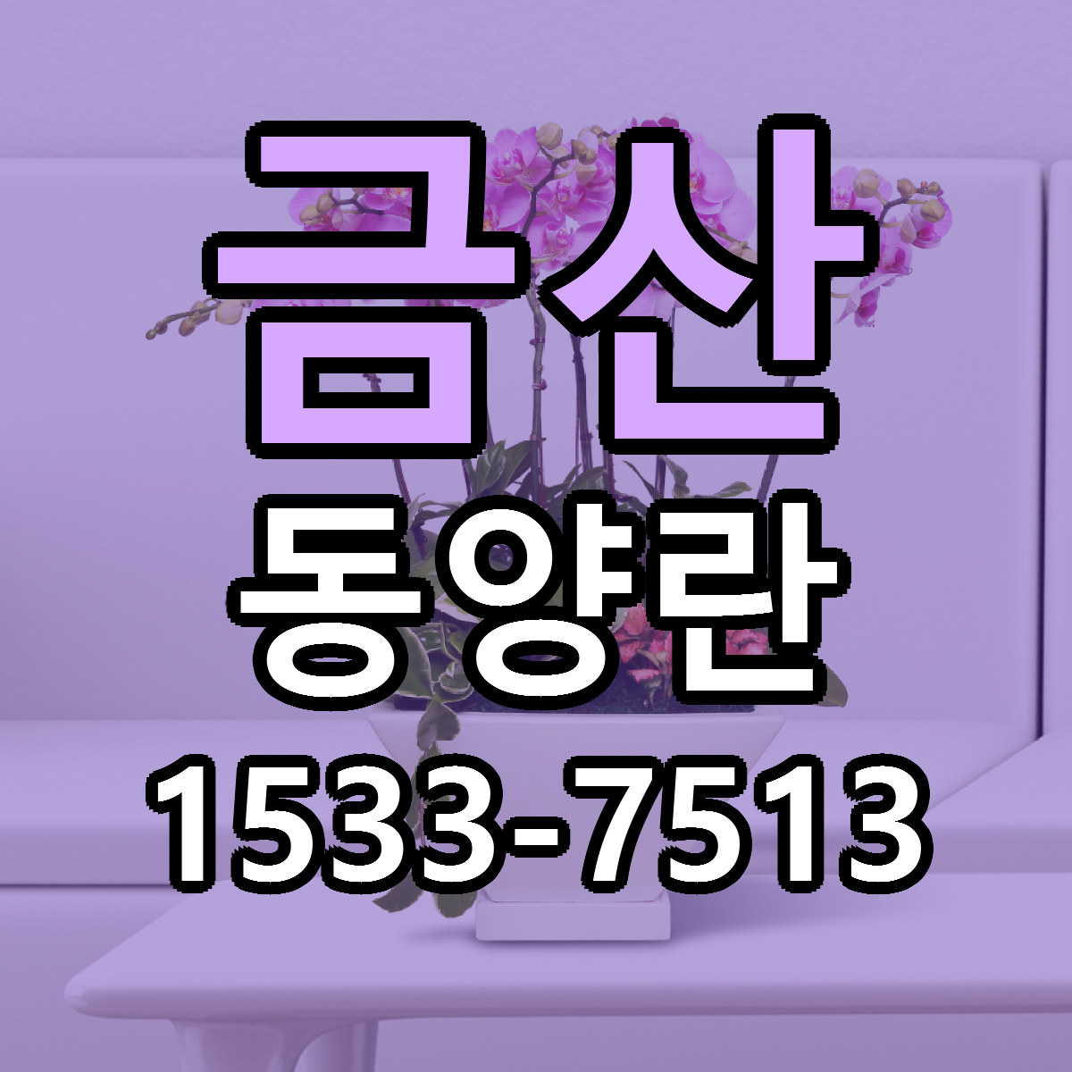 금산 동양란 당일배송 저렴한곳 리본문구 추천