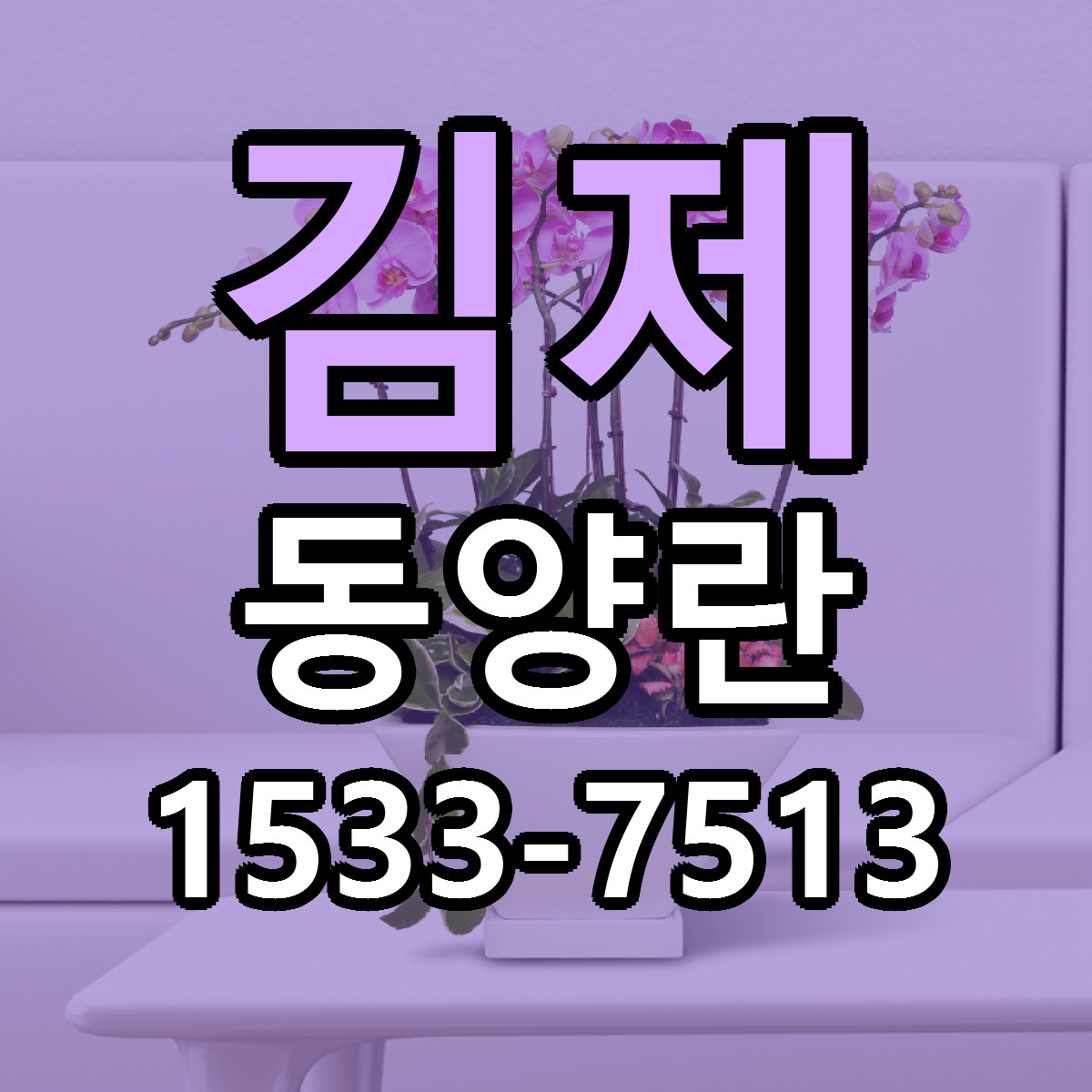 김제 동양란 근처꽃집 당일배송 리본문구 서비스