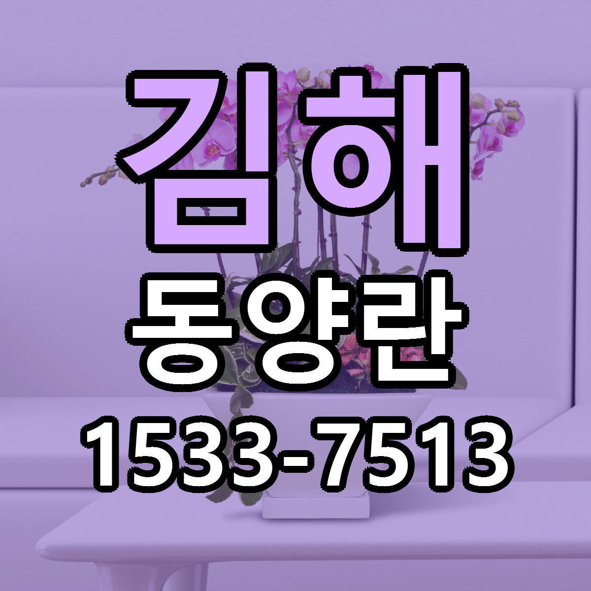 김해 동양란 당일배송 싼곳 리본문구 안내