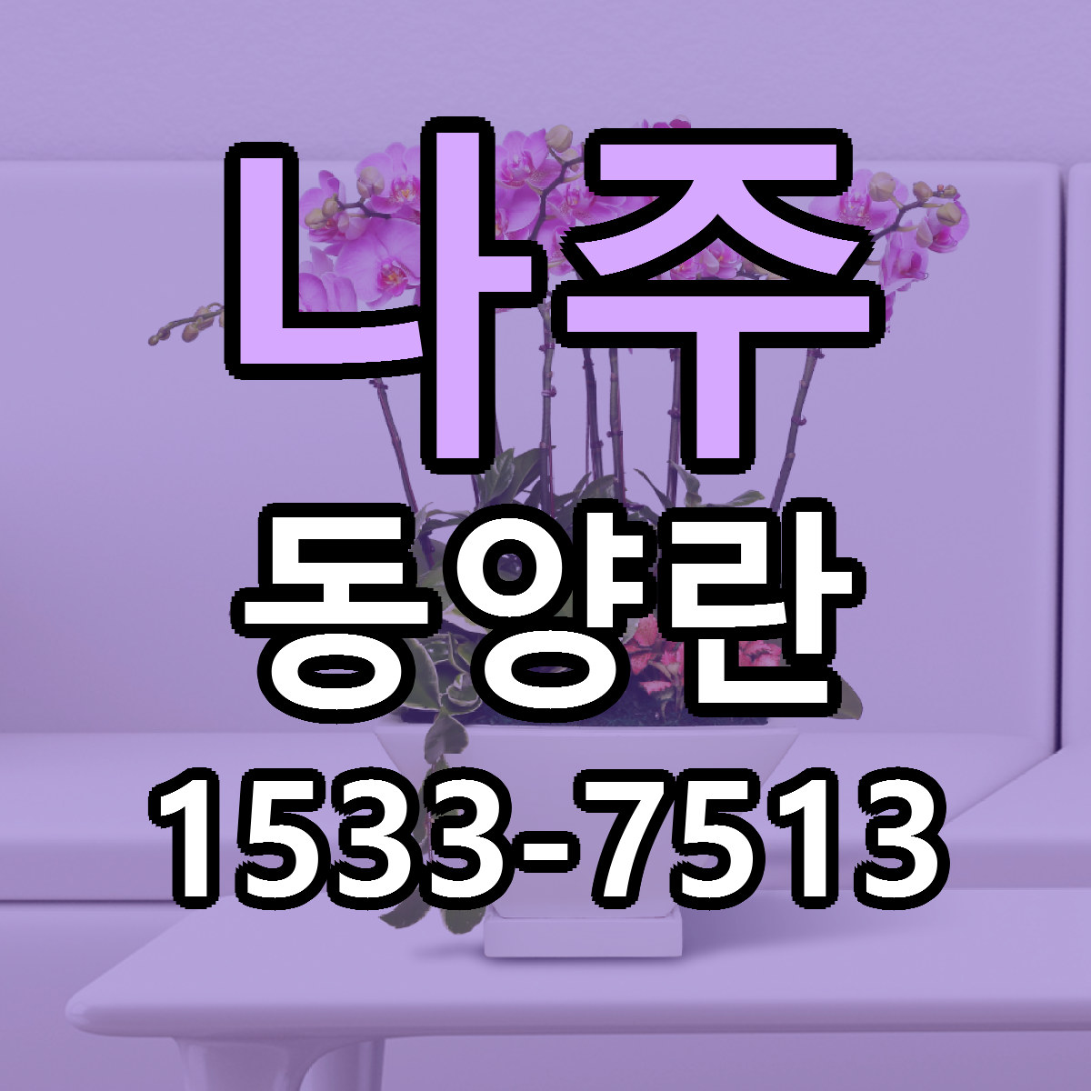 나주 동양란 당일배송 리본문구 싼곳 찾기