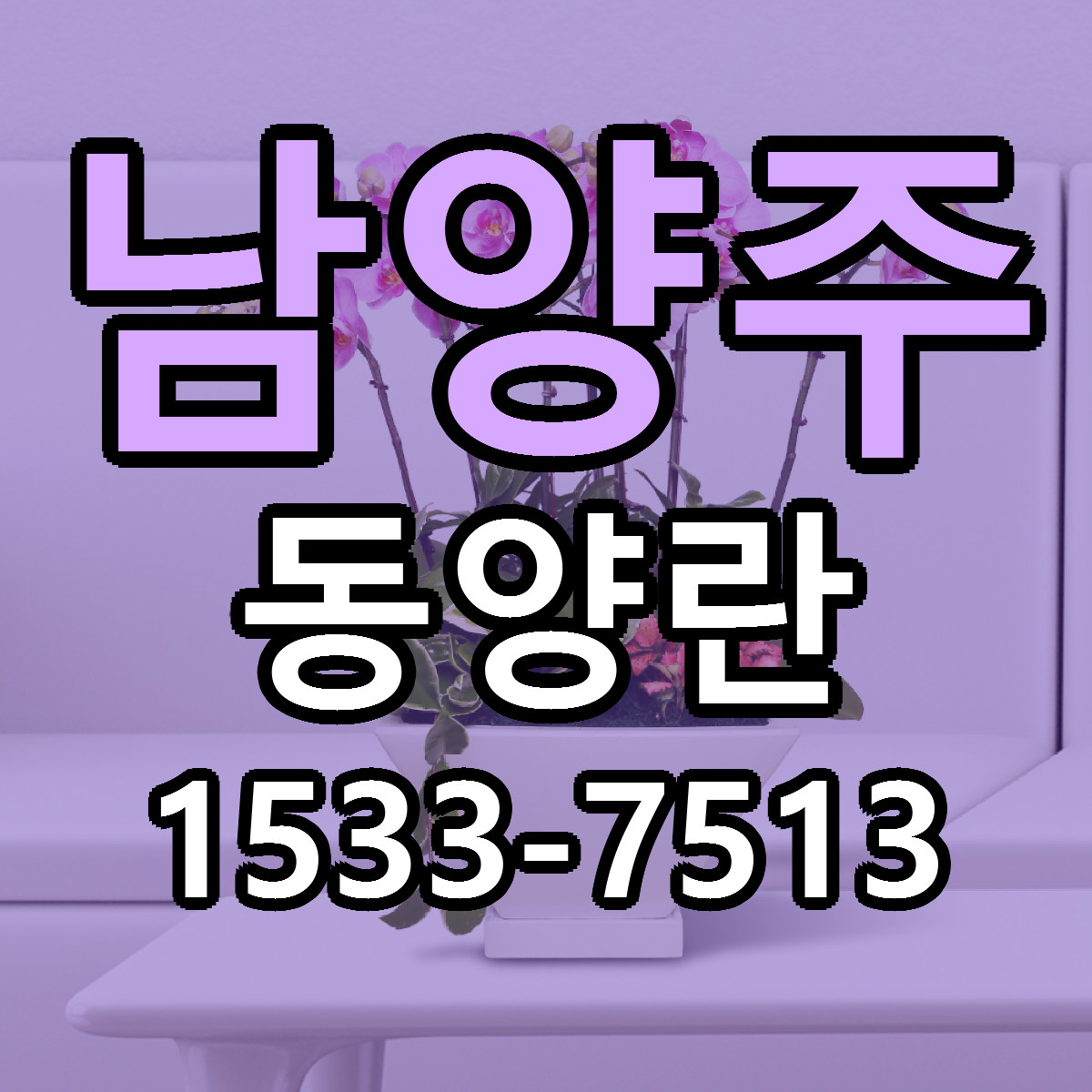 남양주 동양란 리본문구 서비스 저렴한곳 빠른배송