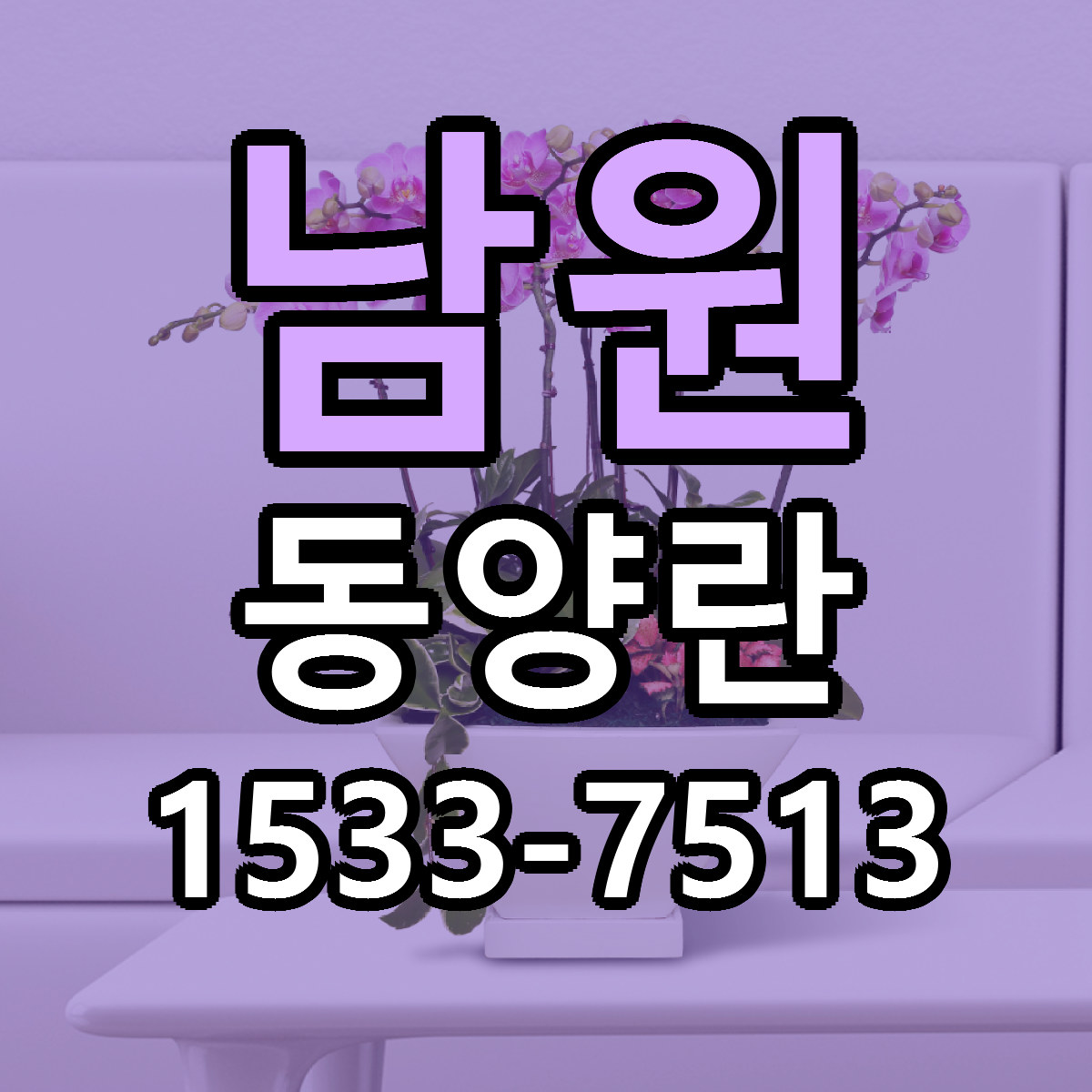 남원 동양란 당일배송 리본문구 싼곳 찾기